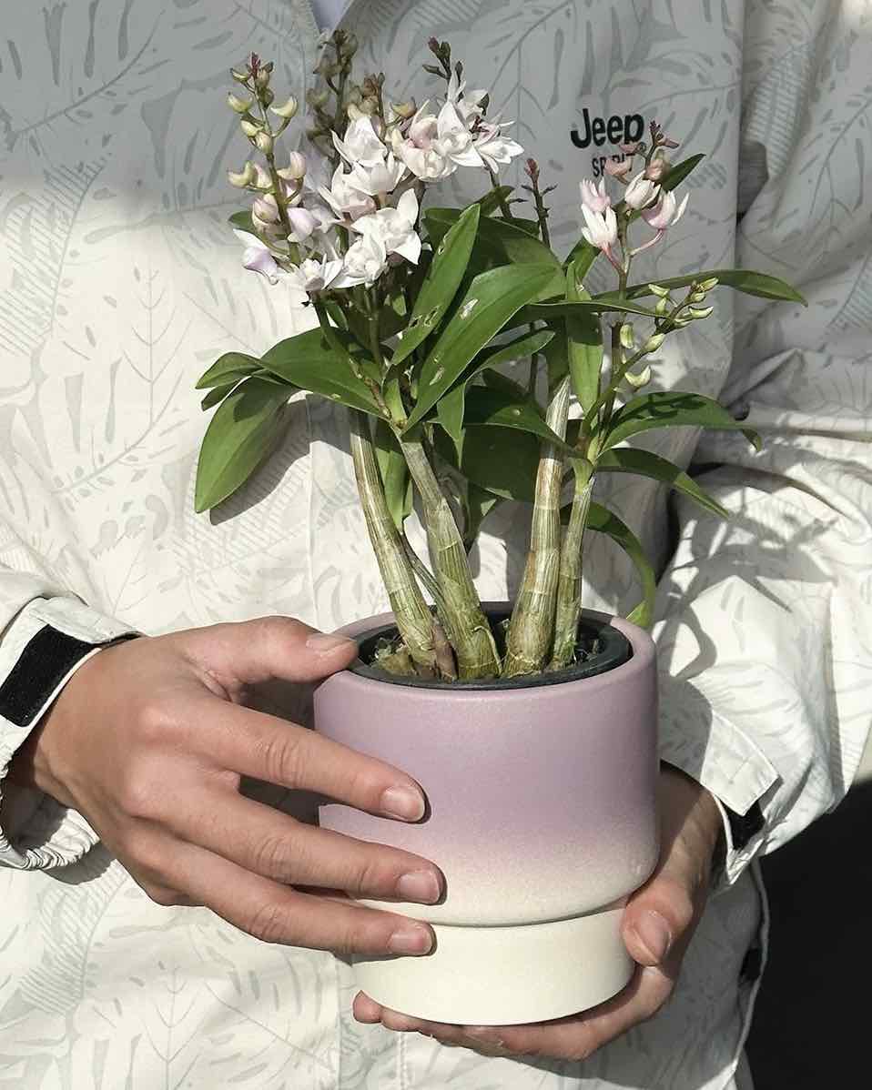 Handmade Macaron Flower Pots, Dopamine Indoor / Outdoor Garden Planter - Image 4