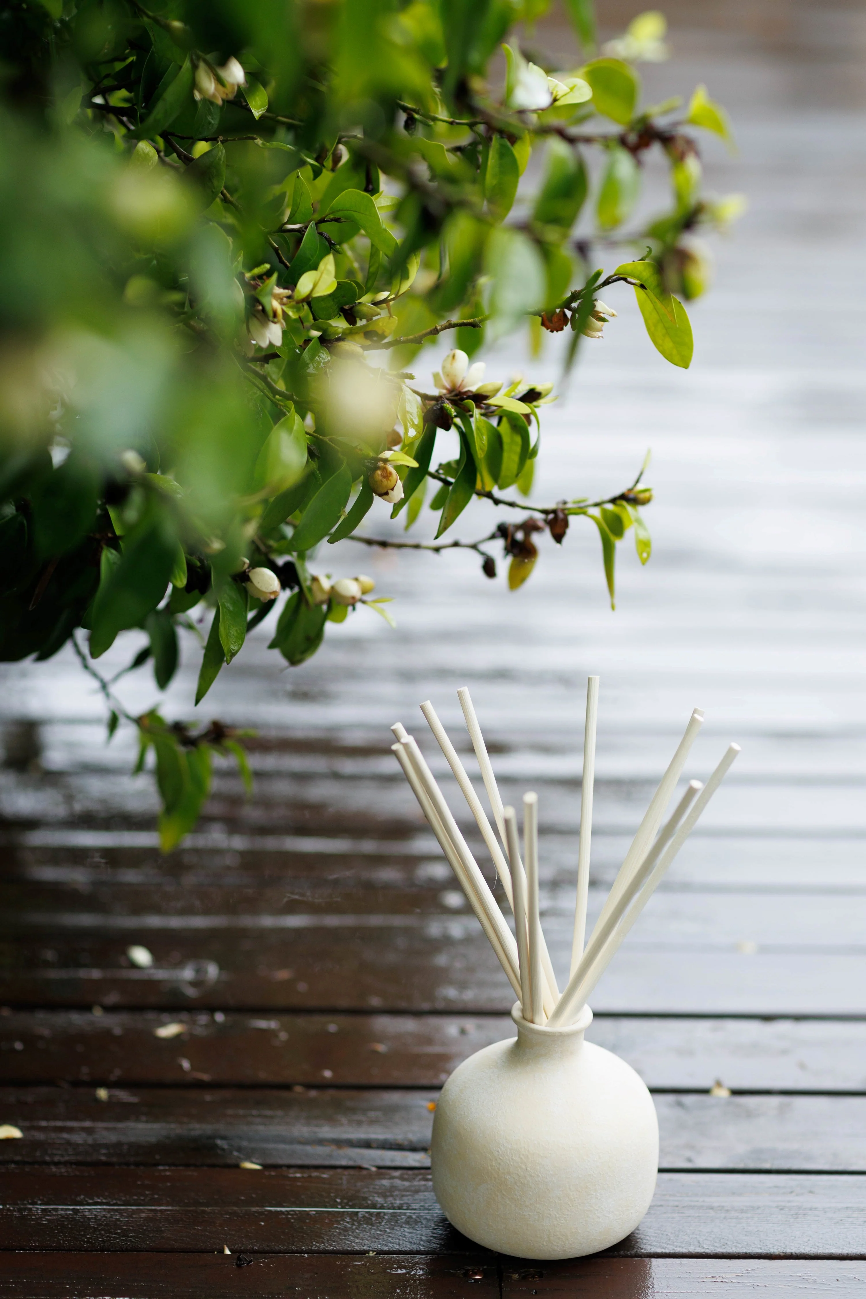 Happiness - Diffuser Oil - Yuzu & Ginger - Image 4