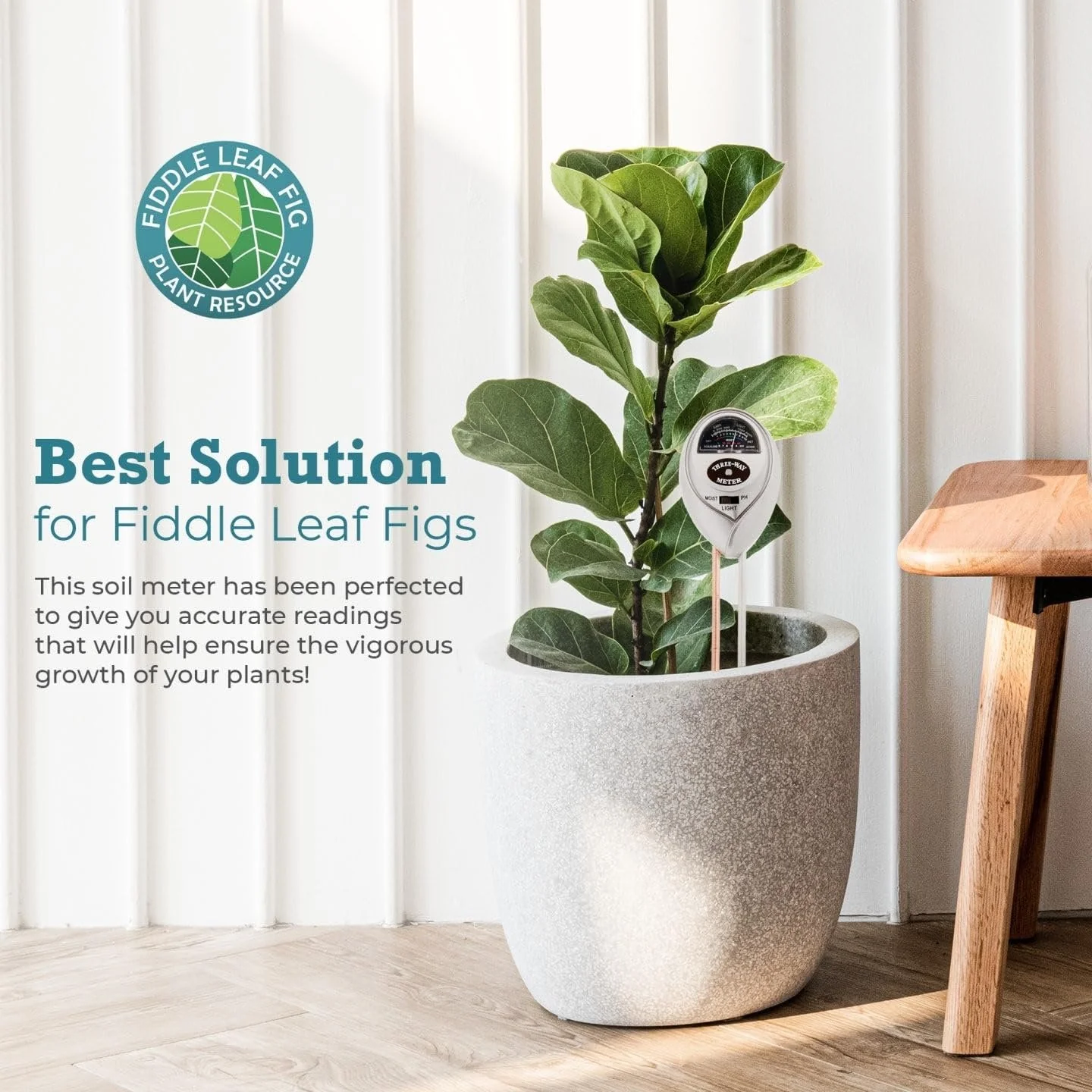 Houseplant Resource Center Fiddle Leaf Fig 3-in-1 Soil Moisture Meter for Plants – Best Indoor Plant Water Meter for Potted Houseplants - Light & Moisture Sensor Probe for Optimal Growth by Houseplant Resource Center - Image 5
