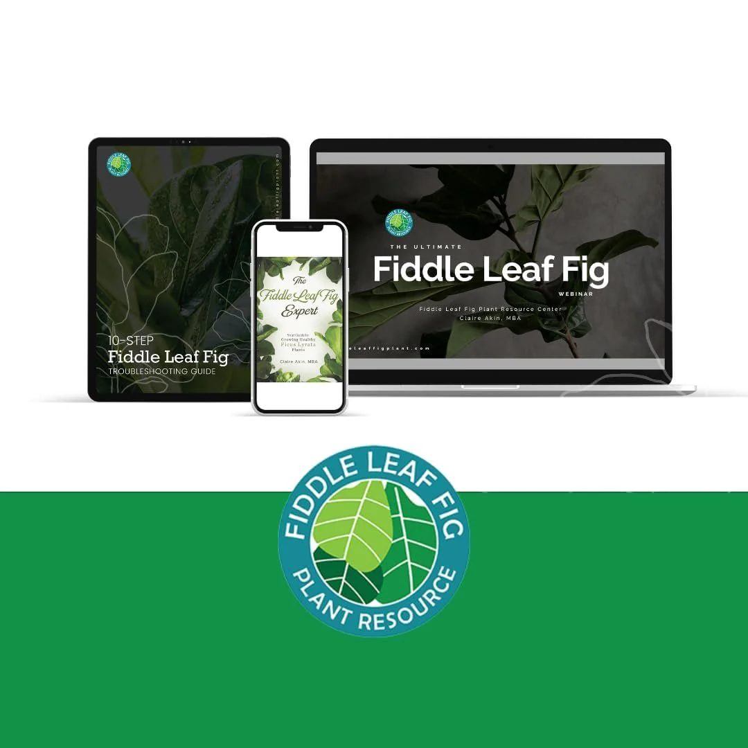 Houseplant Resource Center Fiddle Leaf Fig 3-in-1 Soil Moisture Meter for Plants – Best Indoor Plant Water Meter for Potted Houseplants - Light & Moisture Sensor Probe for Optimal Growth by Houseplant Resource Center - Image 7