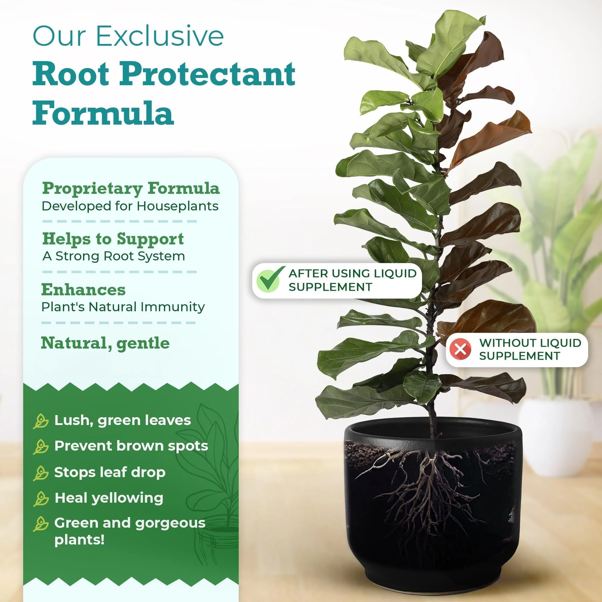 Houseplant Resource Center - Root Supplement, Liquid Root Stimulator - for Fiddle Leaf Fig & Indoor Plants - Propagation Promoter, Root Rot Treatment - Food for Healthy Roots, Stems, & Leaves - 8 Oz by Houseplant Resource Center - Image 4