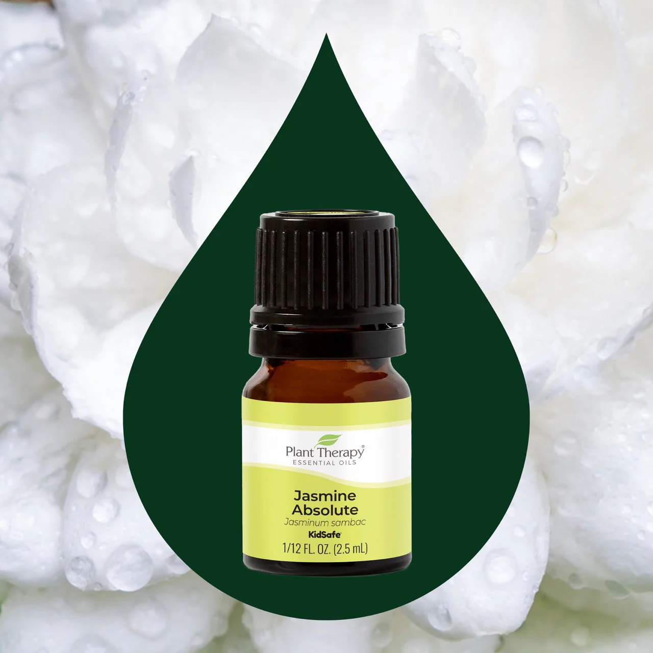 Jasmine Absolute Essential Oil - Image 2