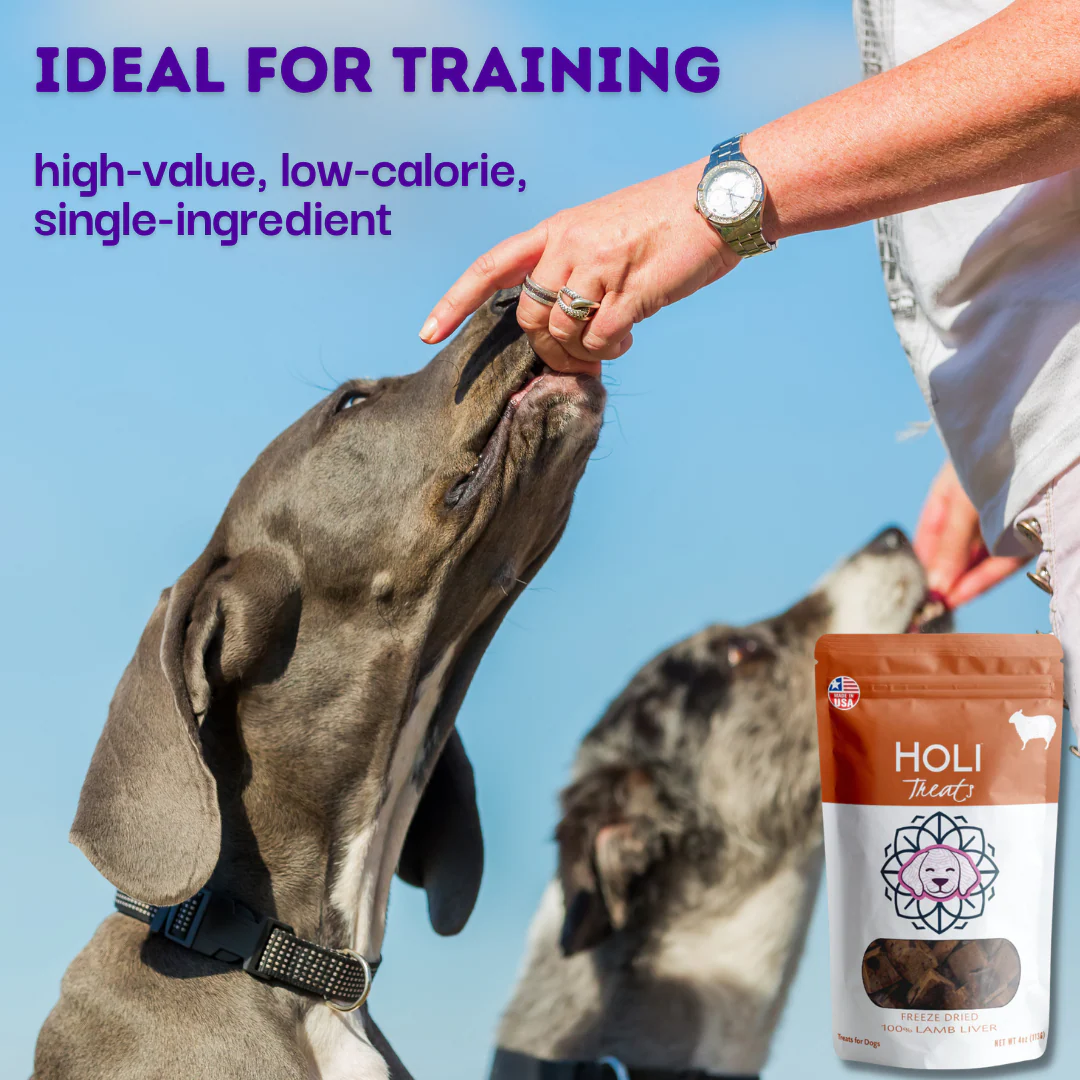 Lamb Liver Dog Treats by HOLI - Image 4