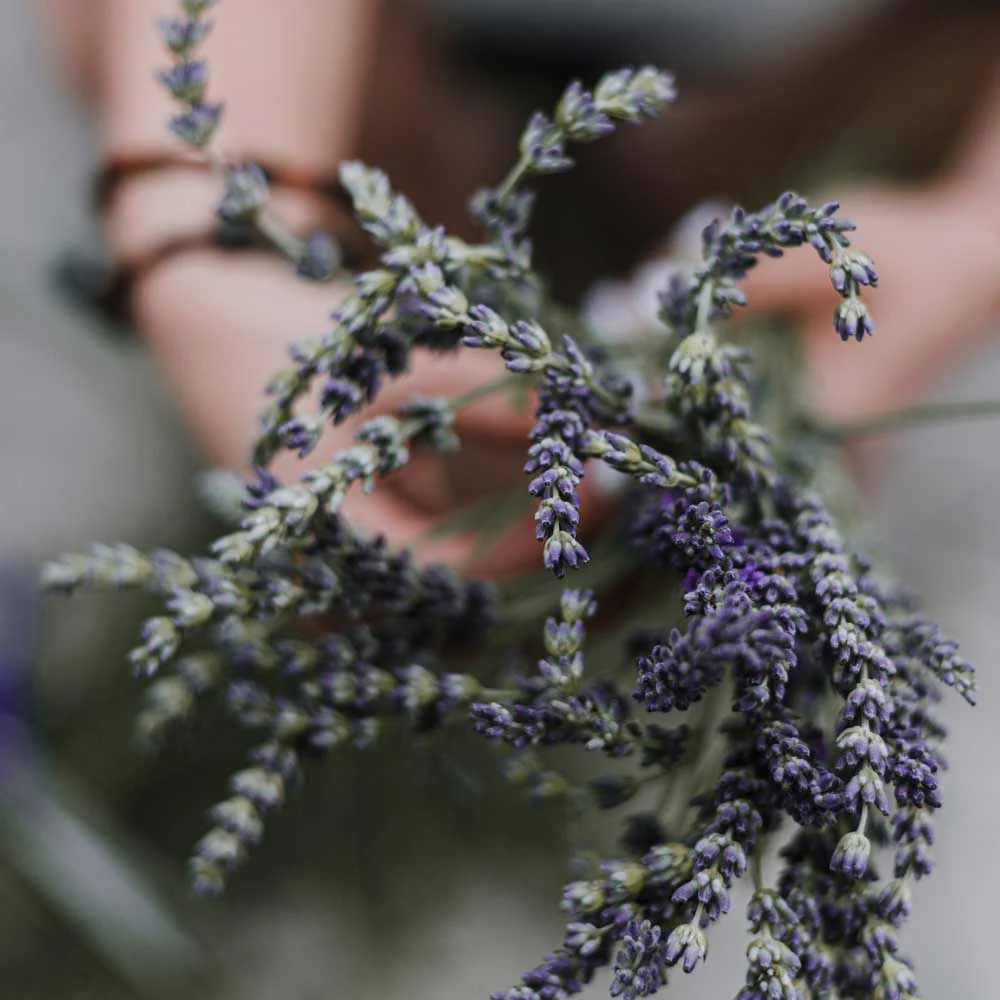 Lavender Organic Soap - Image 2