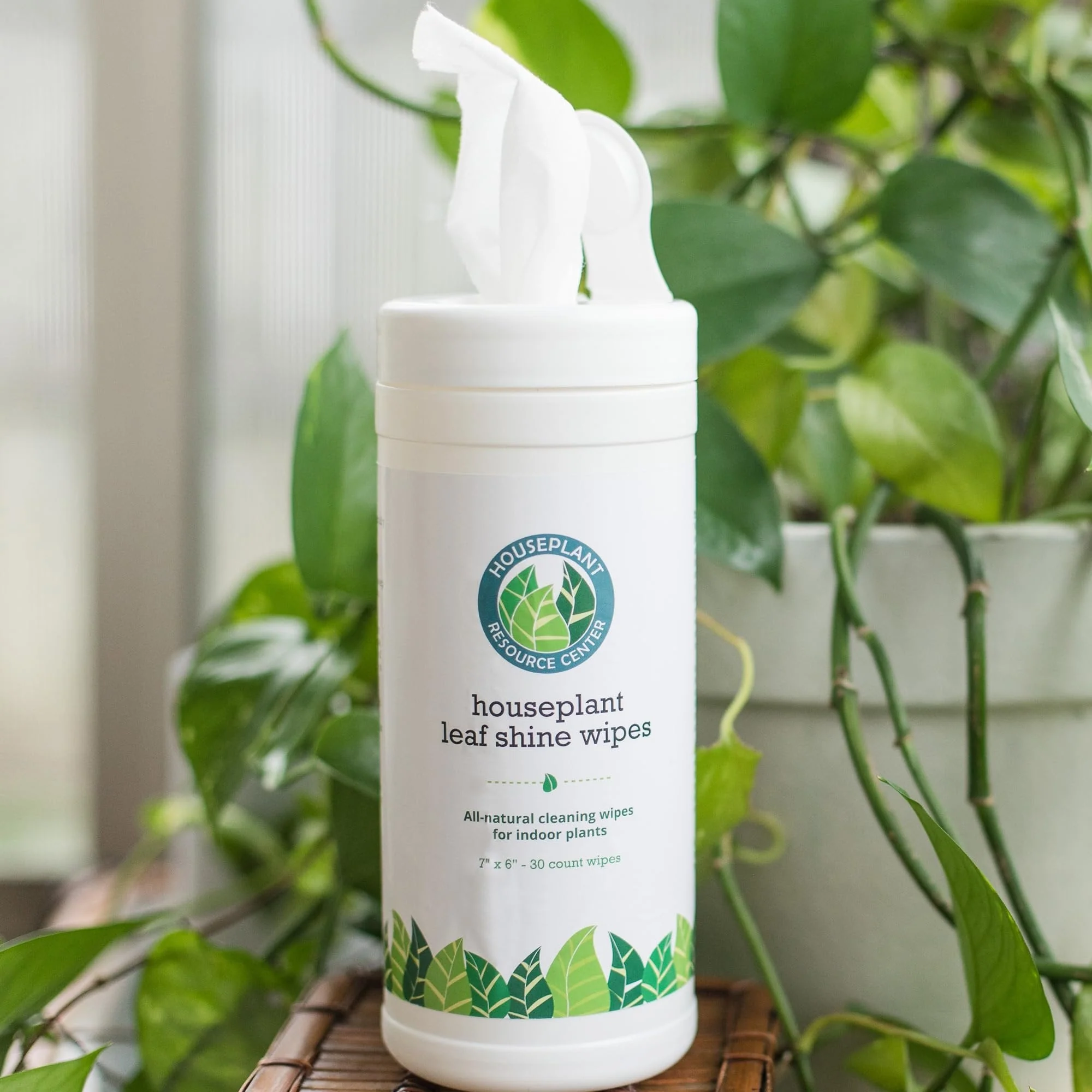 Leaf Cleaner Wipes for House Plants - Sparkling Leaf Shine for Indoor Plants - Houseplant Resource Center Plant Cleaning Wipes for Leaves - Root and Plant Duster Wipes (30 Count) by Houseplant Resource Center - Image 2