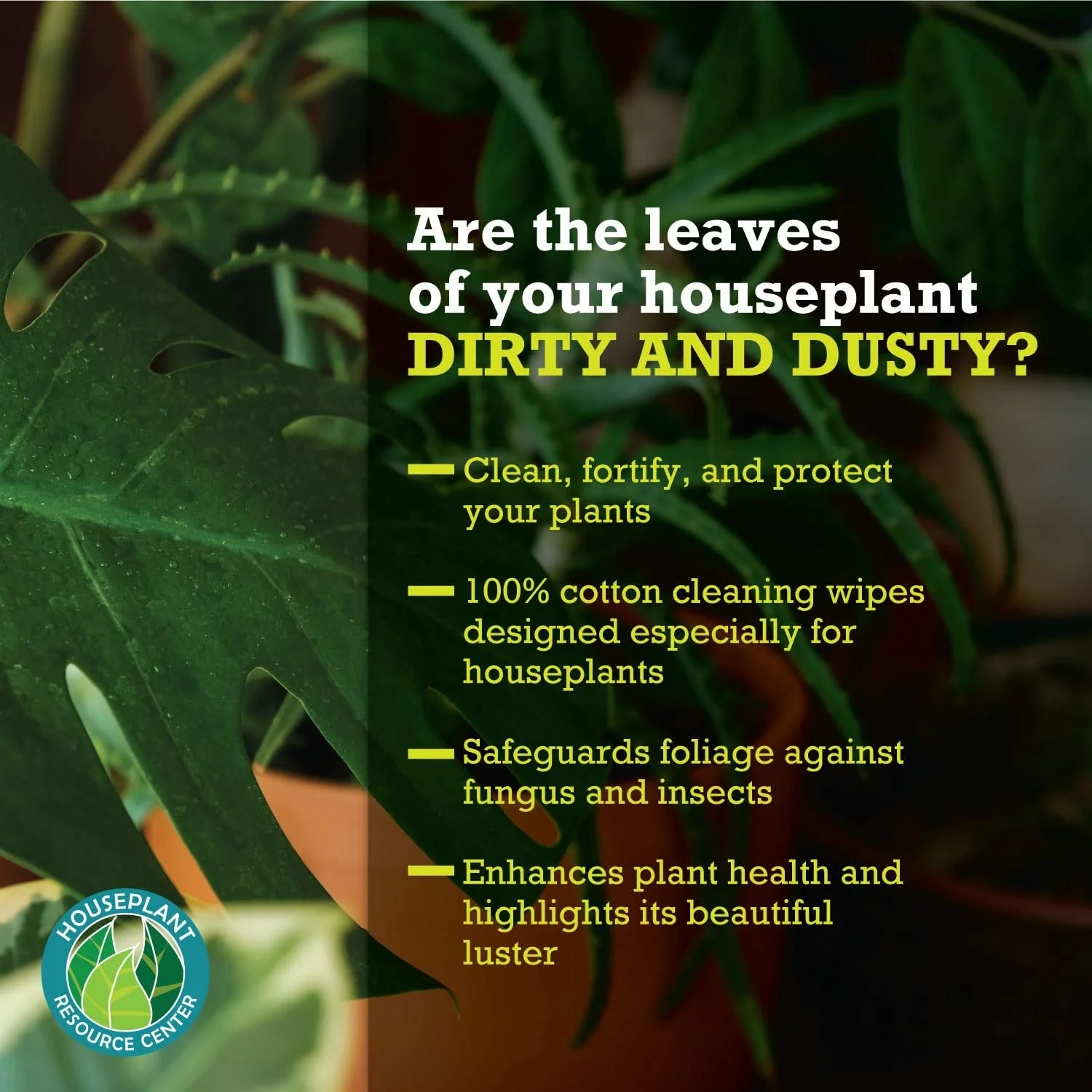 Leaf Cleaner Wipes for House Plants - Sparkling Leaf Shine for Indoor Plants - Houseplant Resource Center Plant Cleaning Wipes for Leaves - Root and Plant Duster Wipes (30 Count) by Houseplant Resource Center - Image 5