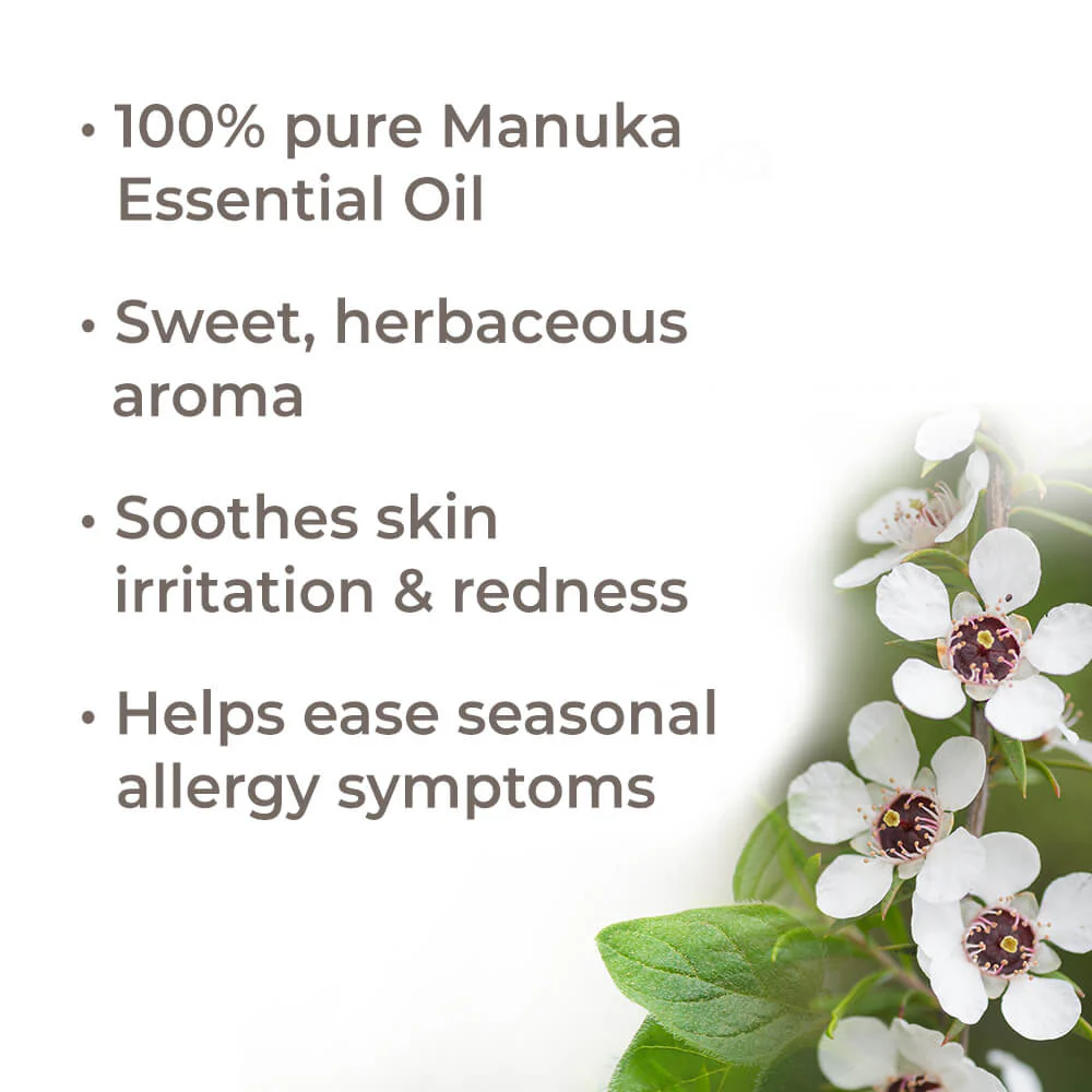 Manuka Essential Oil - Image 2