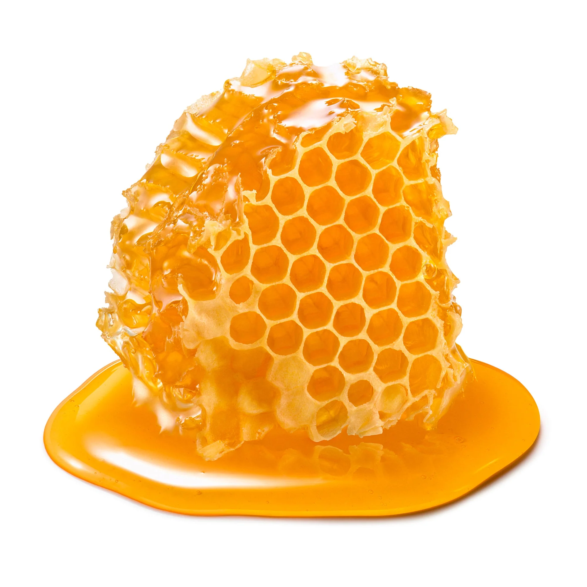 Manuka Honey Face Wash Cleanser by EarthToSkin - Image 5