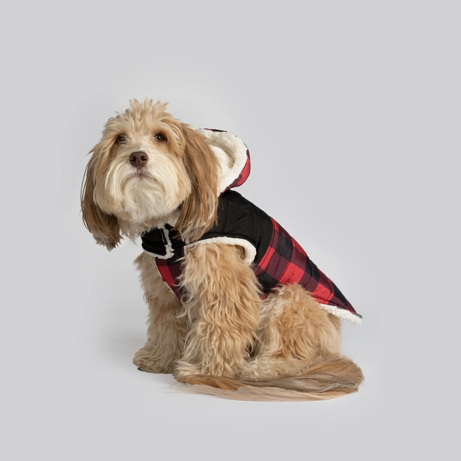 Marley Dog Jacket Red | Cozy Winter Coat with Removable Hood & Sherpa Lining - Image 5