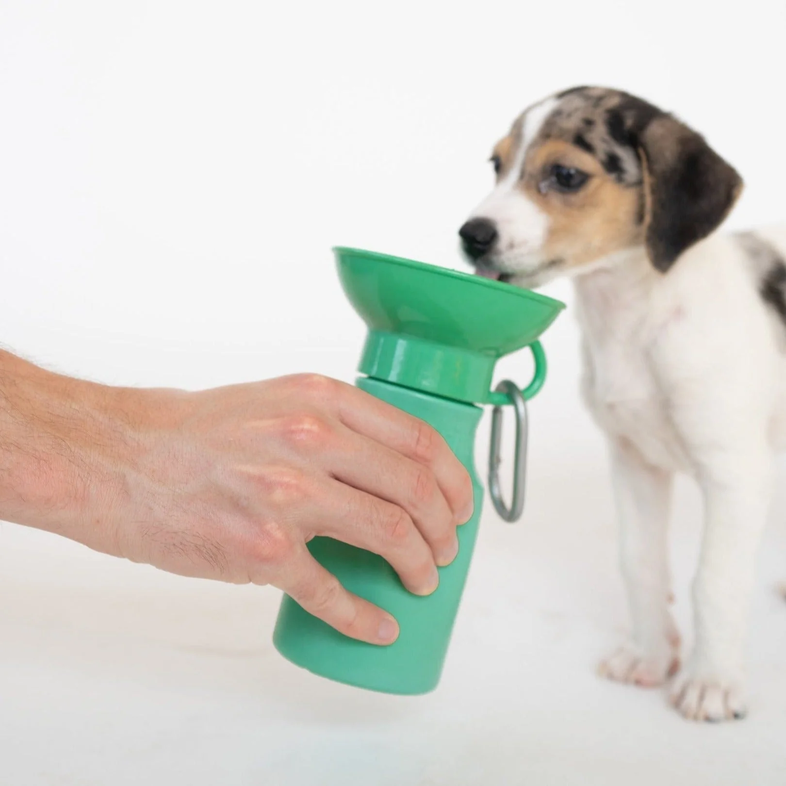 Mini Dog Travel Bottle - Image 18