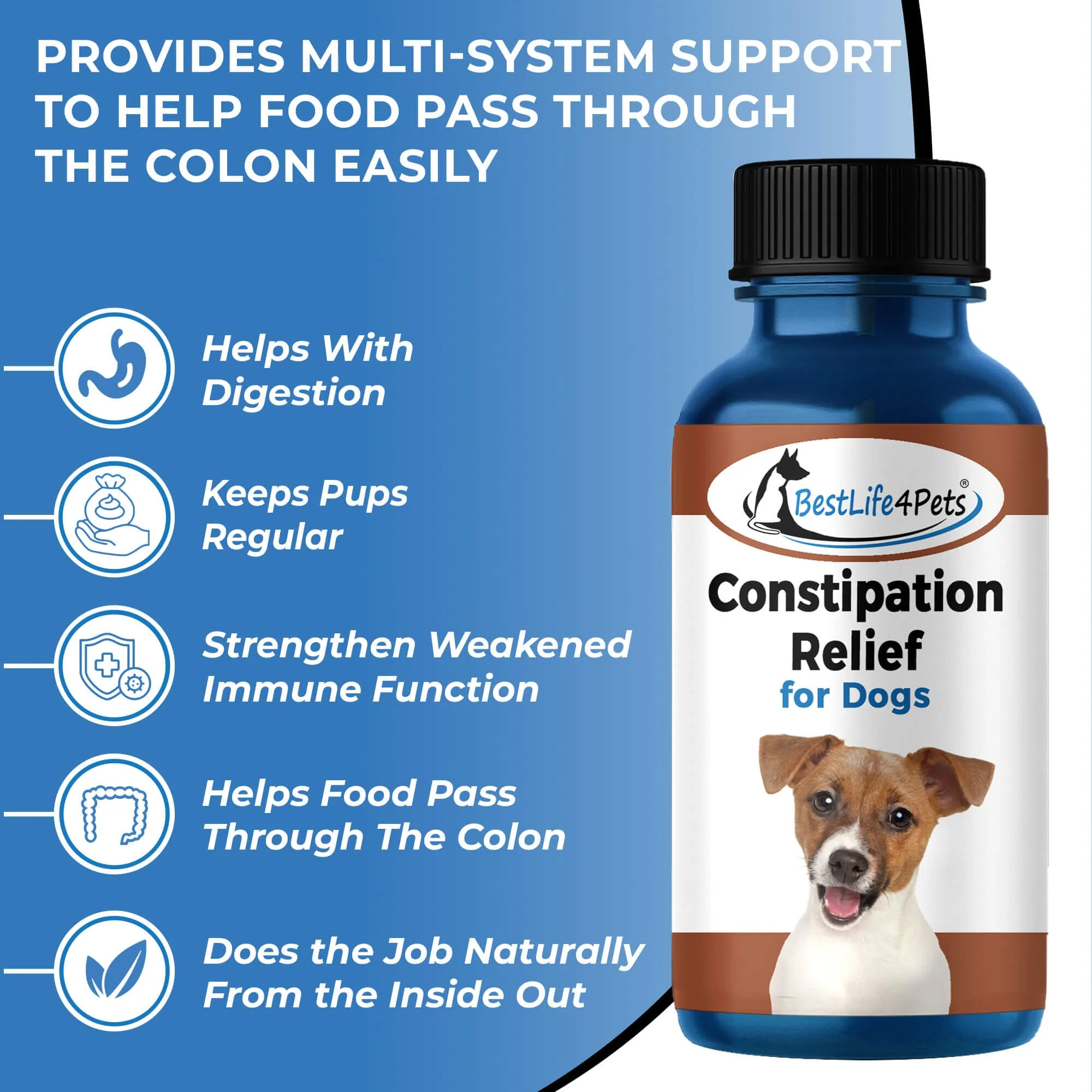 Natural Dog Laxative & Constipation Treatment by BestLife4Pets - Image 3
