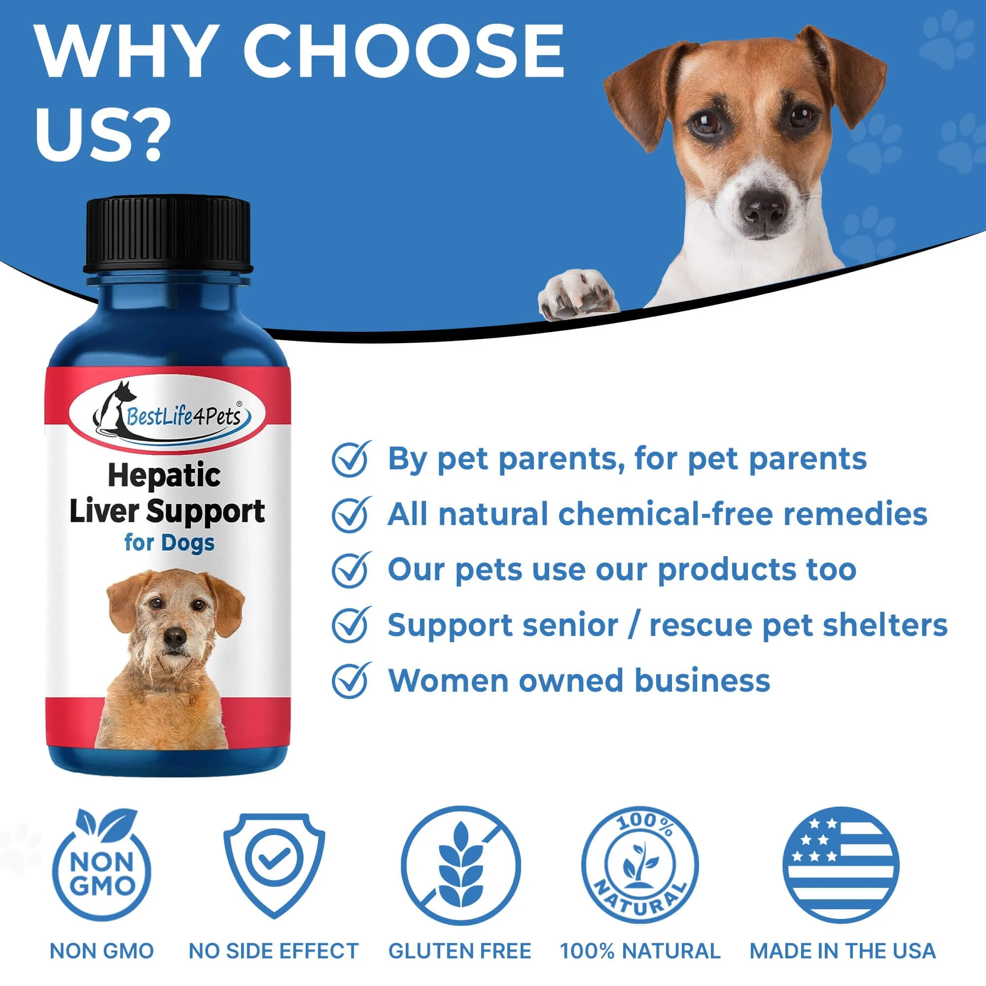 Natural Hepatic Dog Liver Support Tablets by BestLife4Pets - Image 6