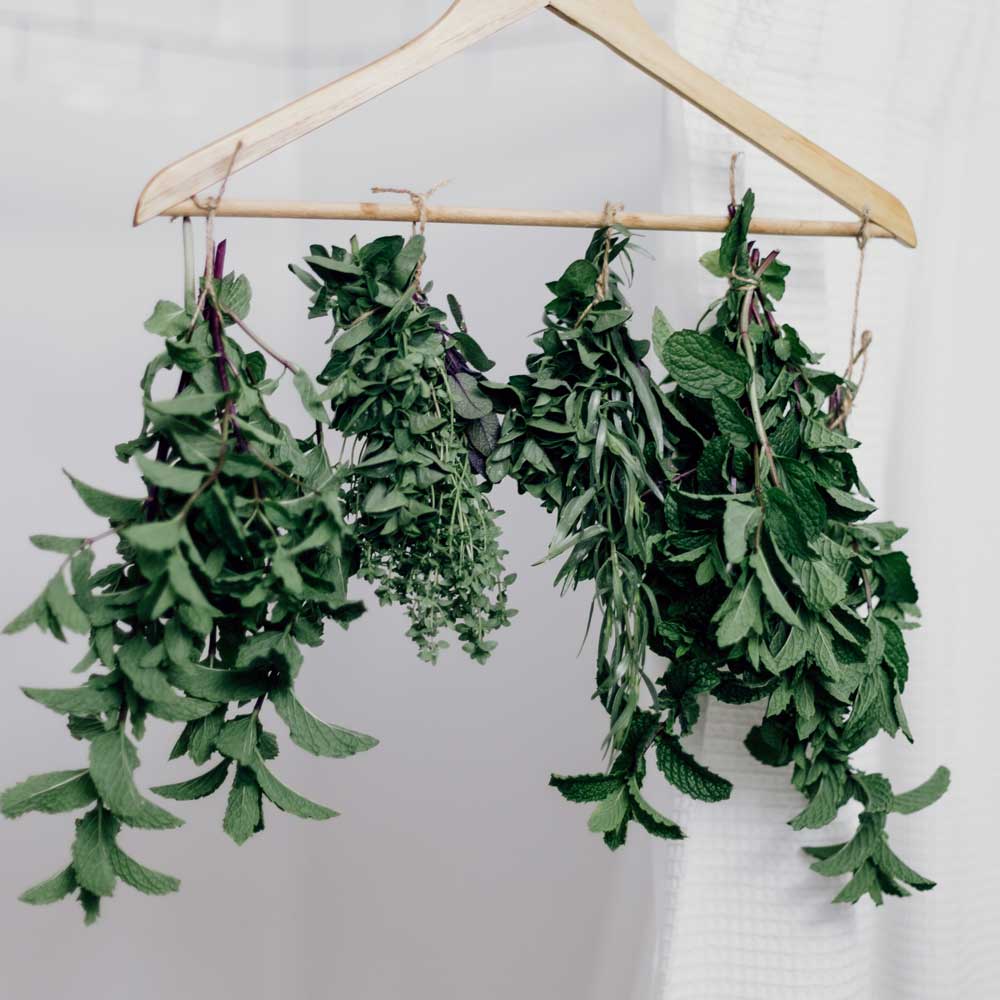 Natural Peppermint Reed Diffuser - Image 2
