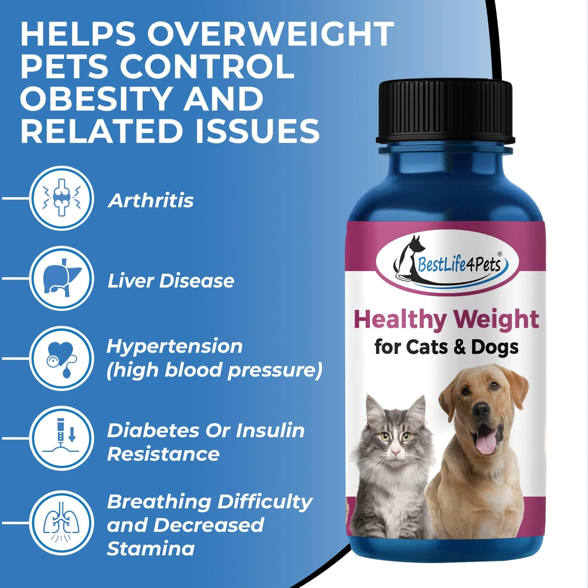 Natural Weight Loss & Thyroid Support Supplement for Dogs & Cats by BestLife4Pets - Image 3