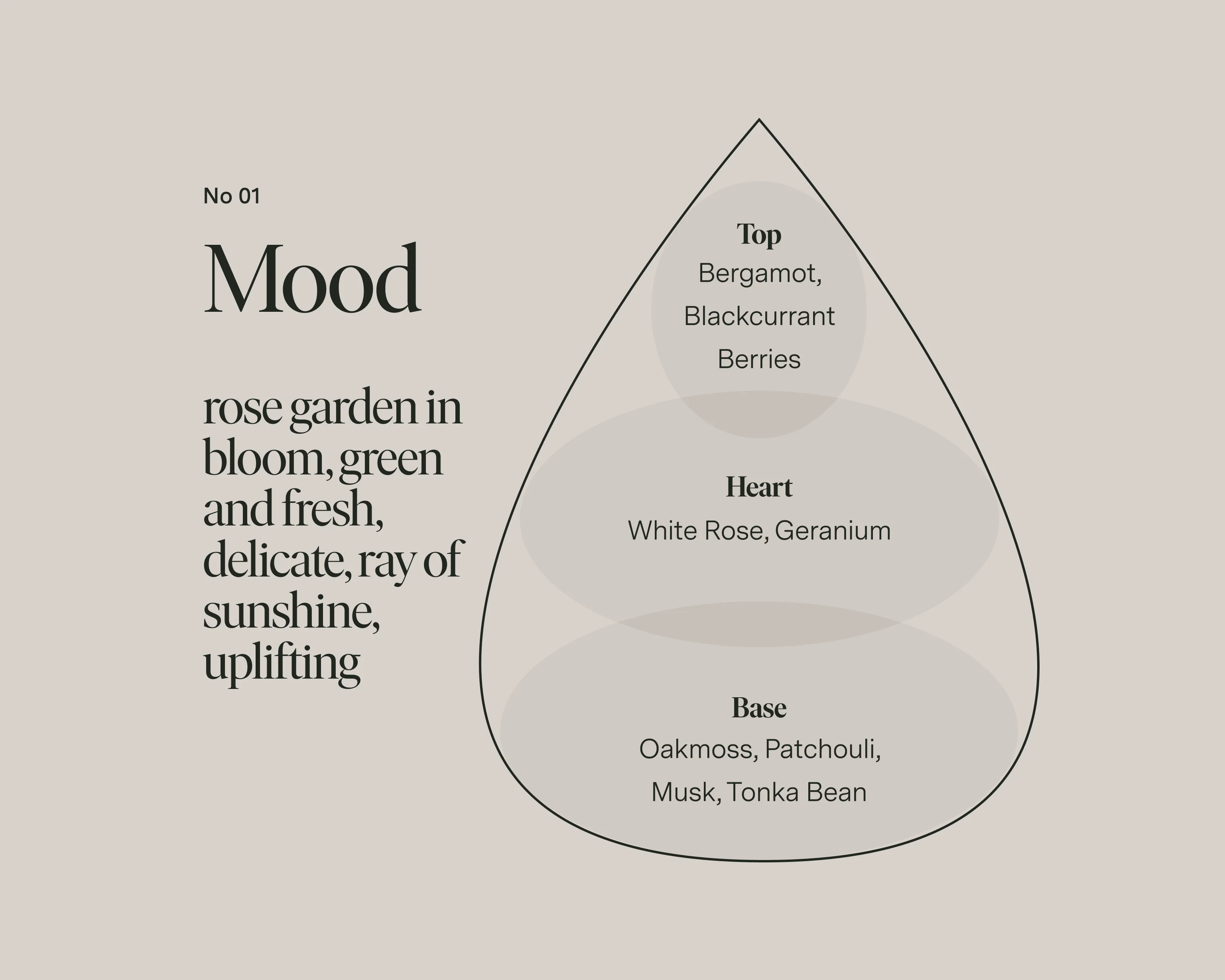 No 01 — Bergamot, White Rose, Oakmoss - Image 4