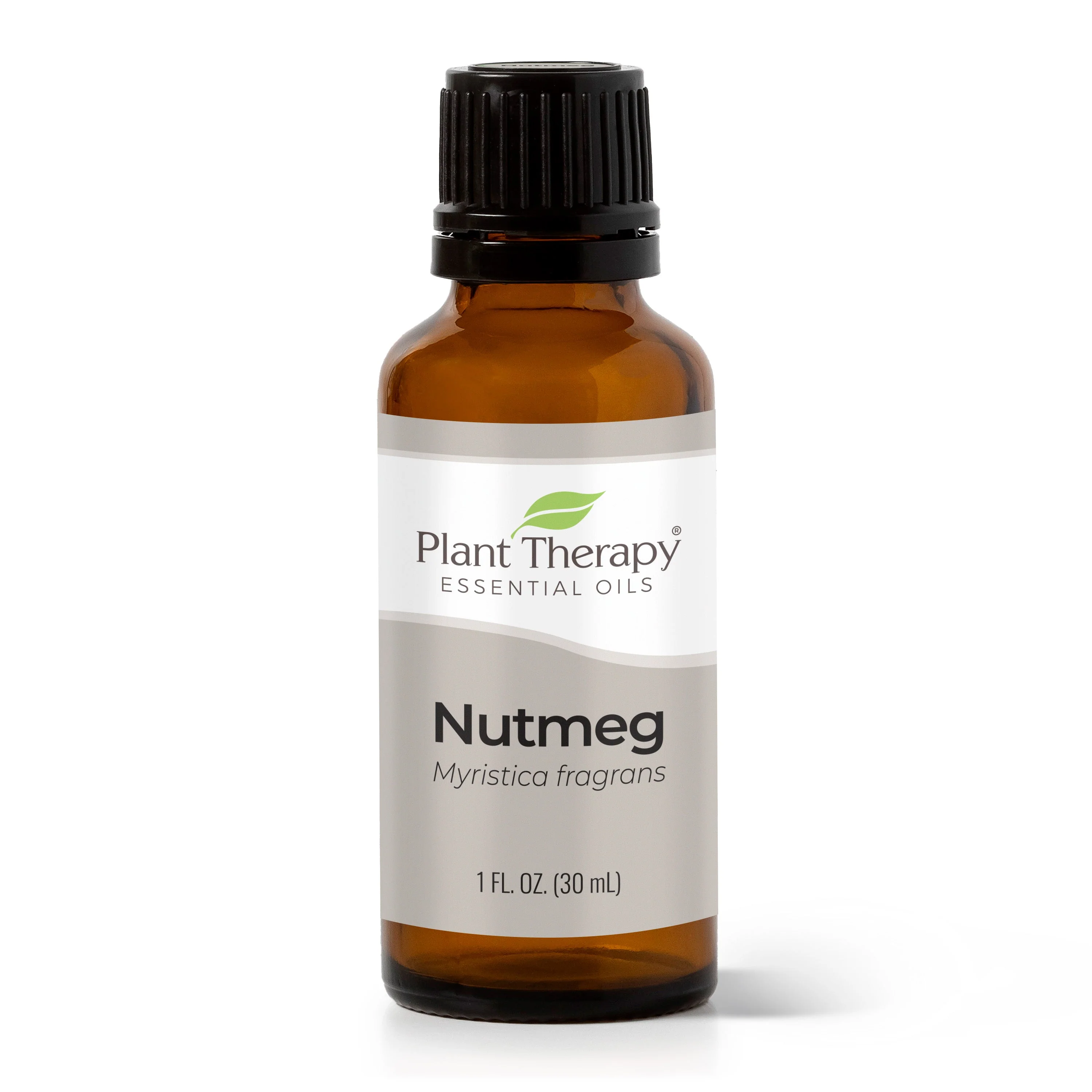 Nutmeg Essential Oil - Image 3