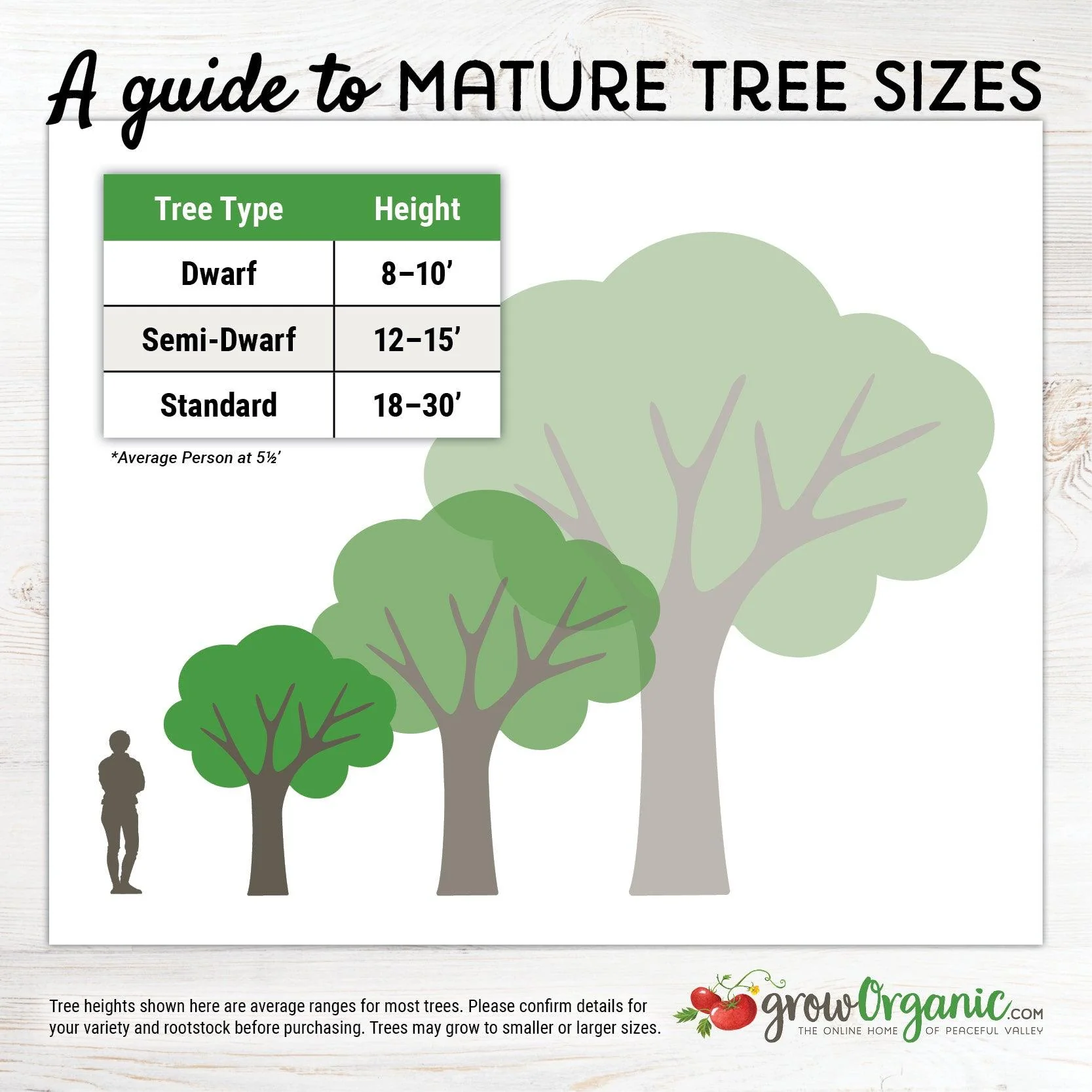 O'Henry Peach Tree - Image 4
