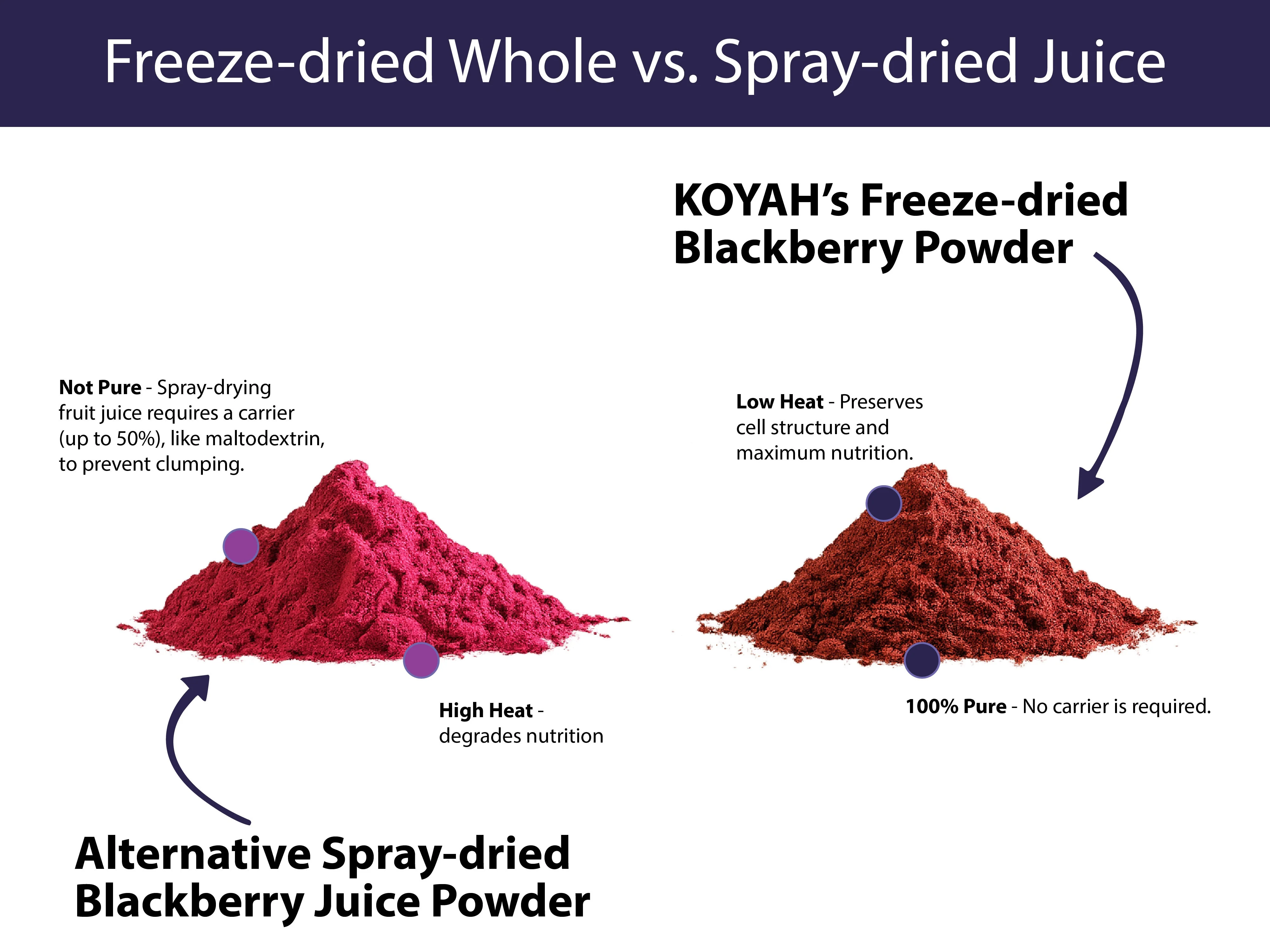 Organic Blackberry Powder - Image 5