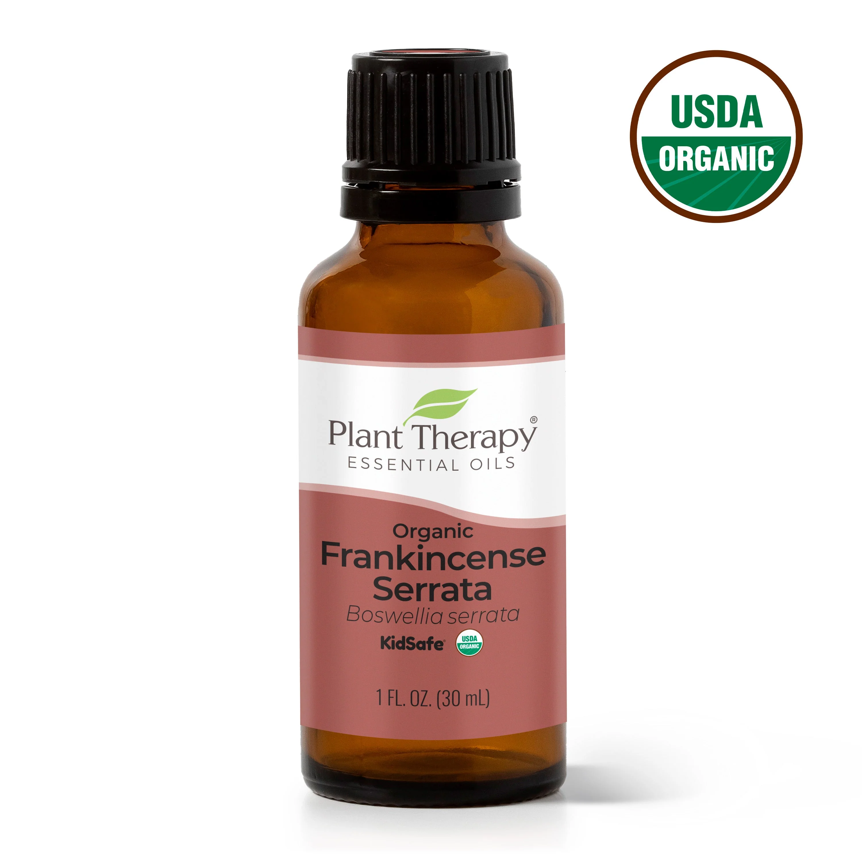 Organic Frankincense Serrata Essential Oil - Image 8