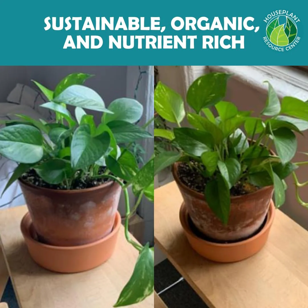 Organic Houseplant Probiotic Powder | Soil Conditioner to Improve Soil Structure, Balance pH, Enhance Soil Bioavailability and Improve Growth, Blooms, Yield | Fast Acting | Indoor and Outdoor Plants by Houseplant Resource Center - Image 3