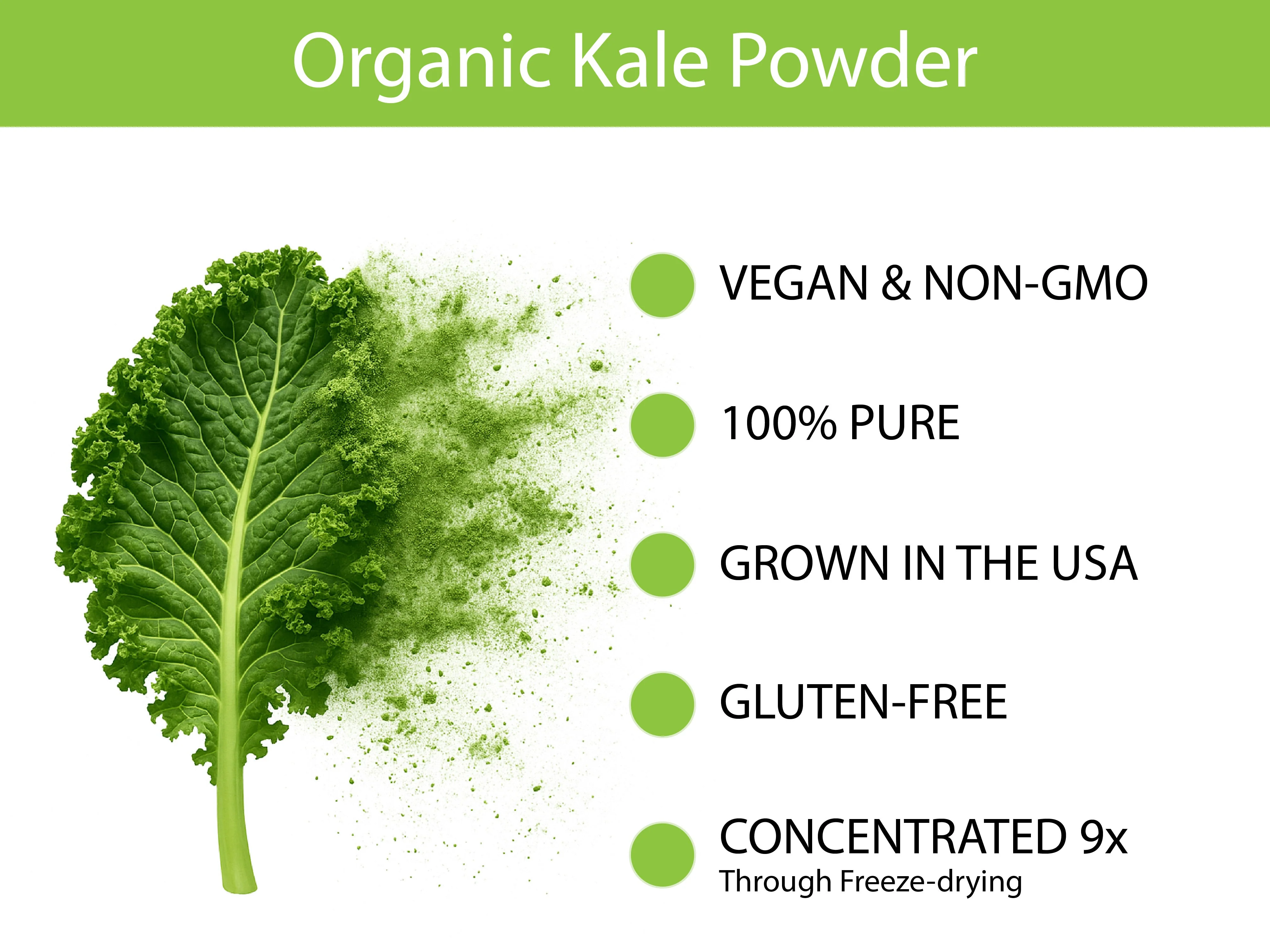 Organic Kale Powder - Image 4