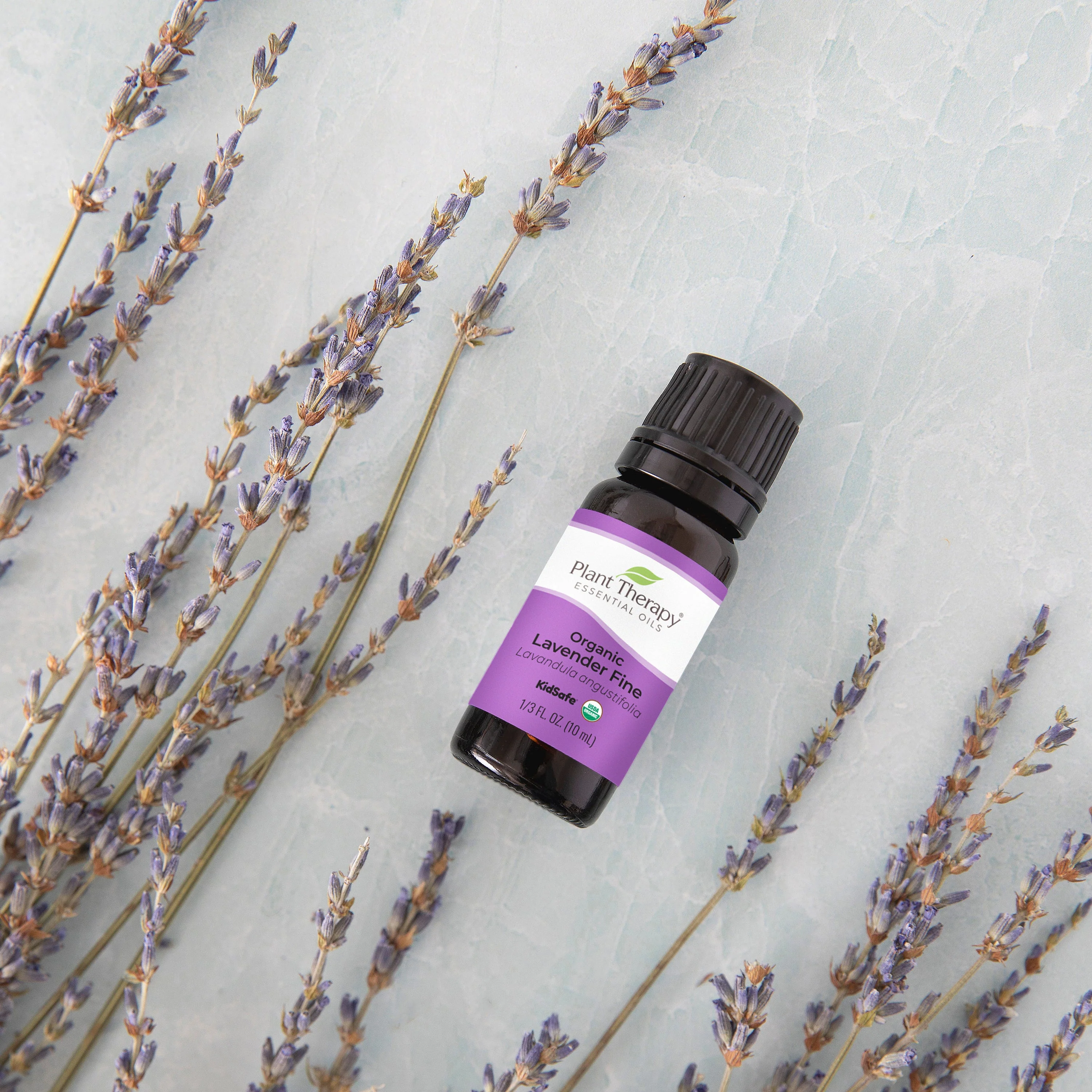 Organic Lavender Fine Essential Oil - Image 2