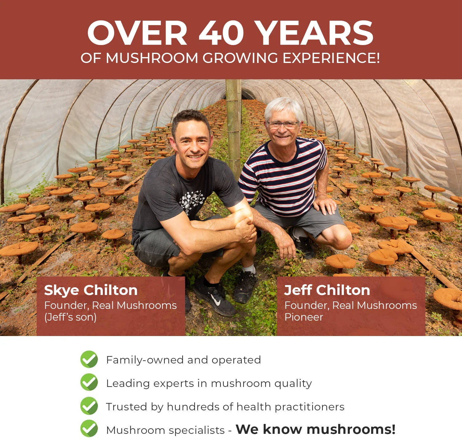 Organic Reishi Mushroom Capsules by Real Mushrooms - Image 3