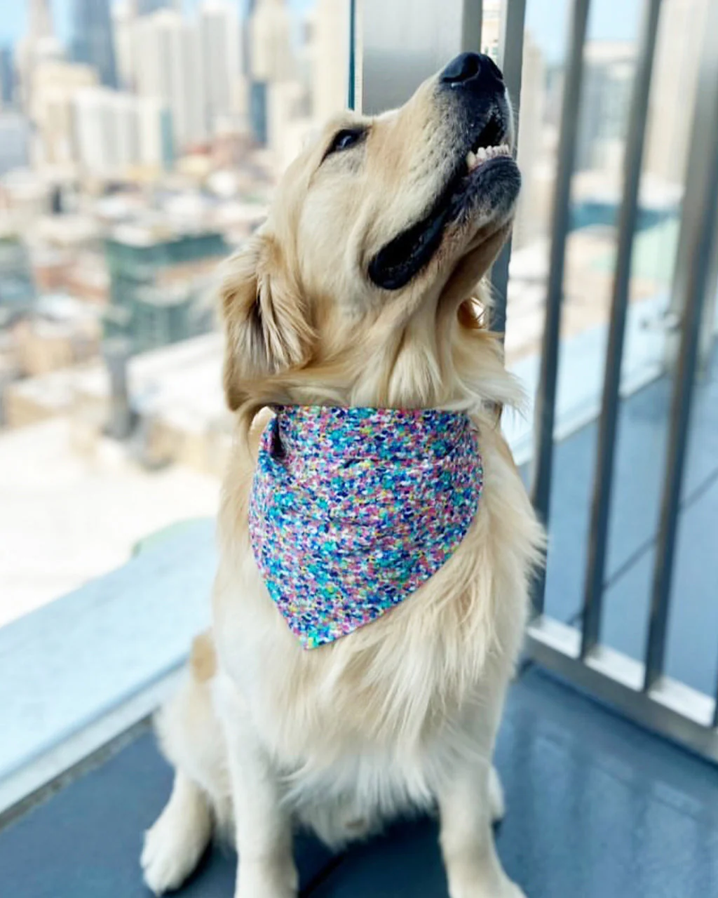 PARTY BANDANA by MODERNBEAST - Image 4