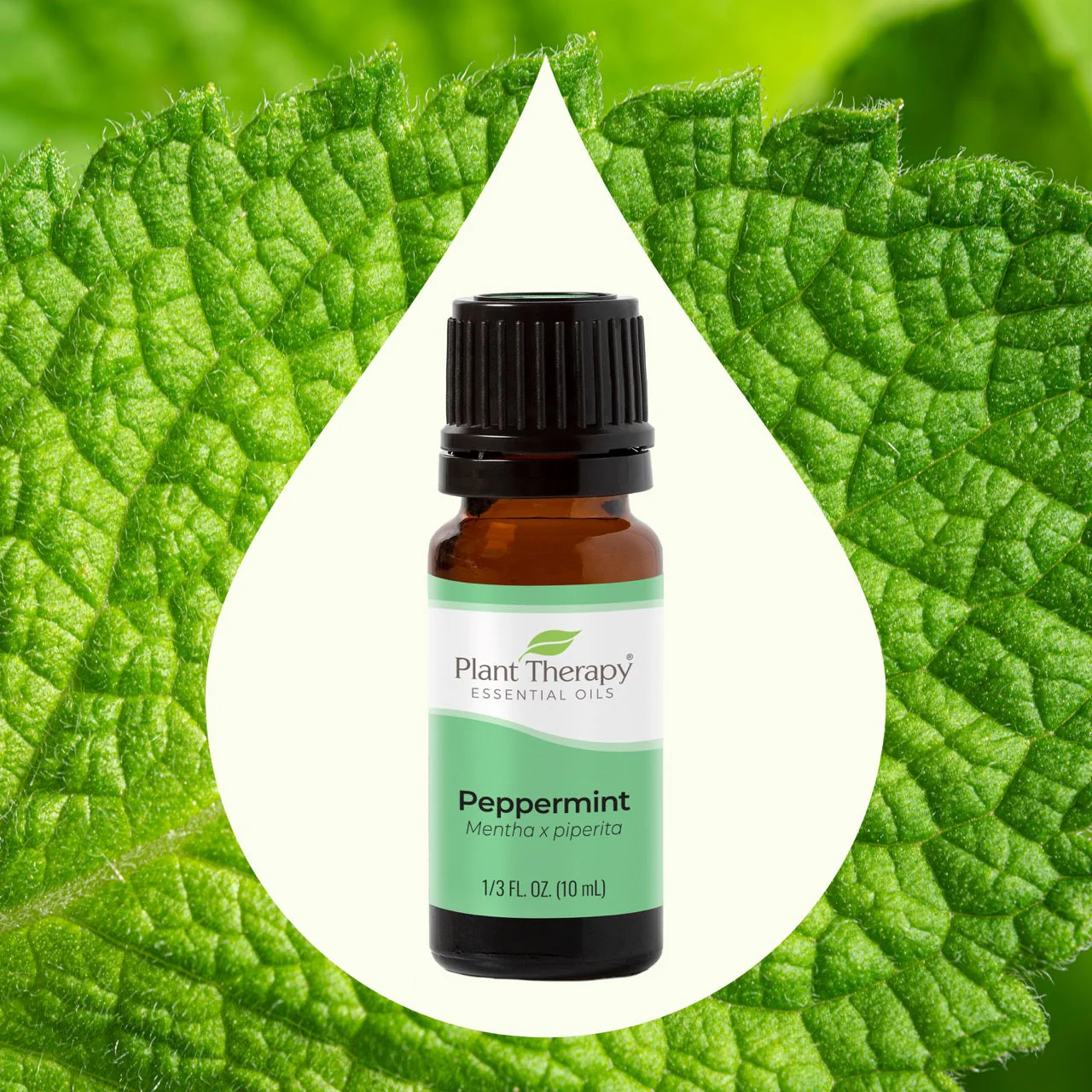Peppermint Essential Oil - Image 2