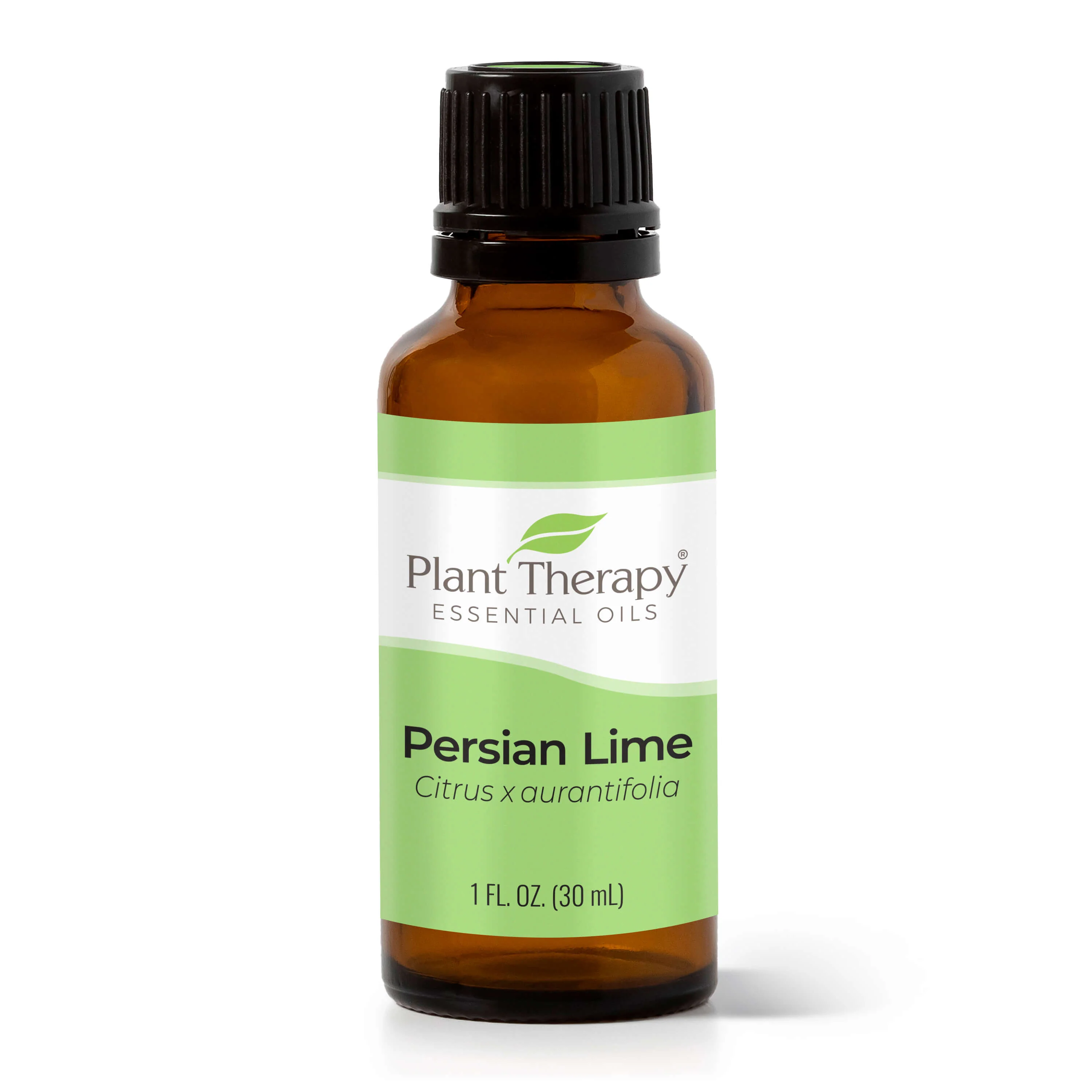 Persian Lime Essential Oil - Image 4