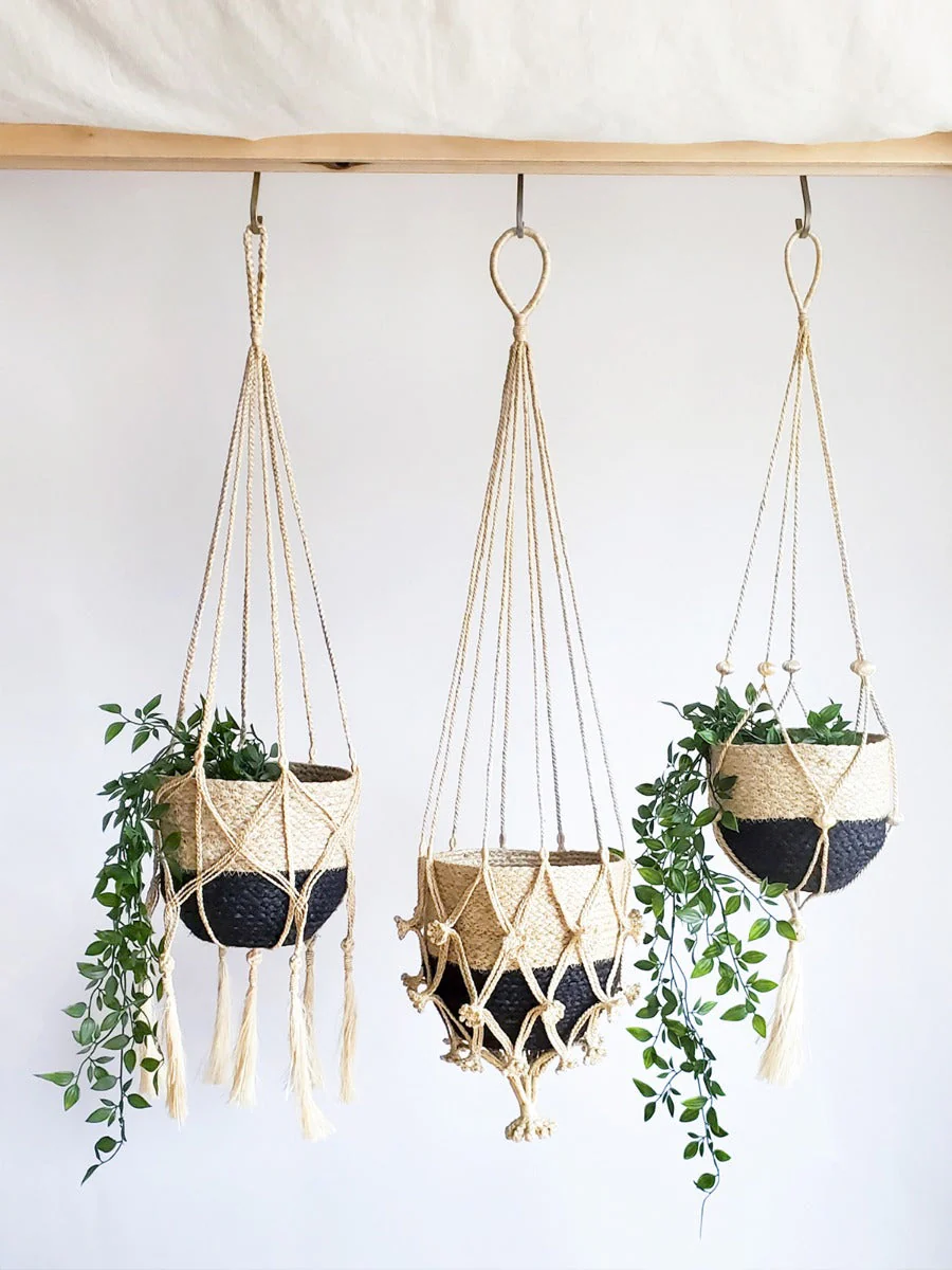 Plant Hanger - Bitan - Image 7