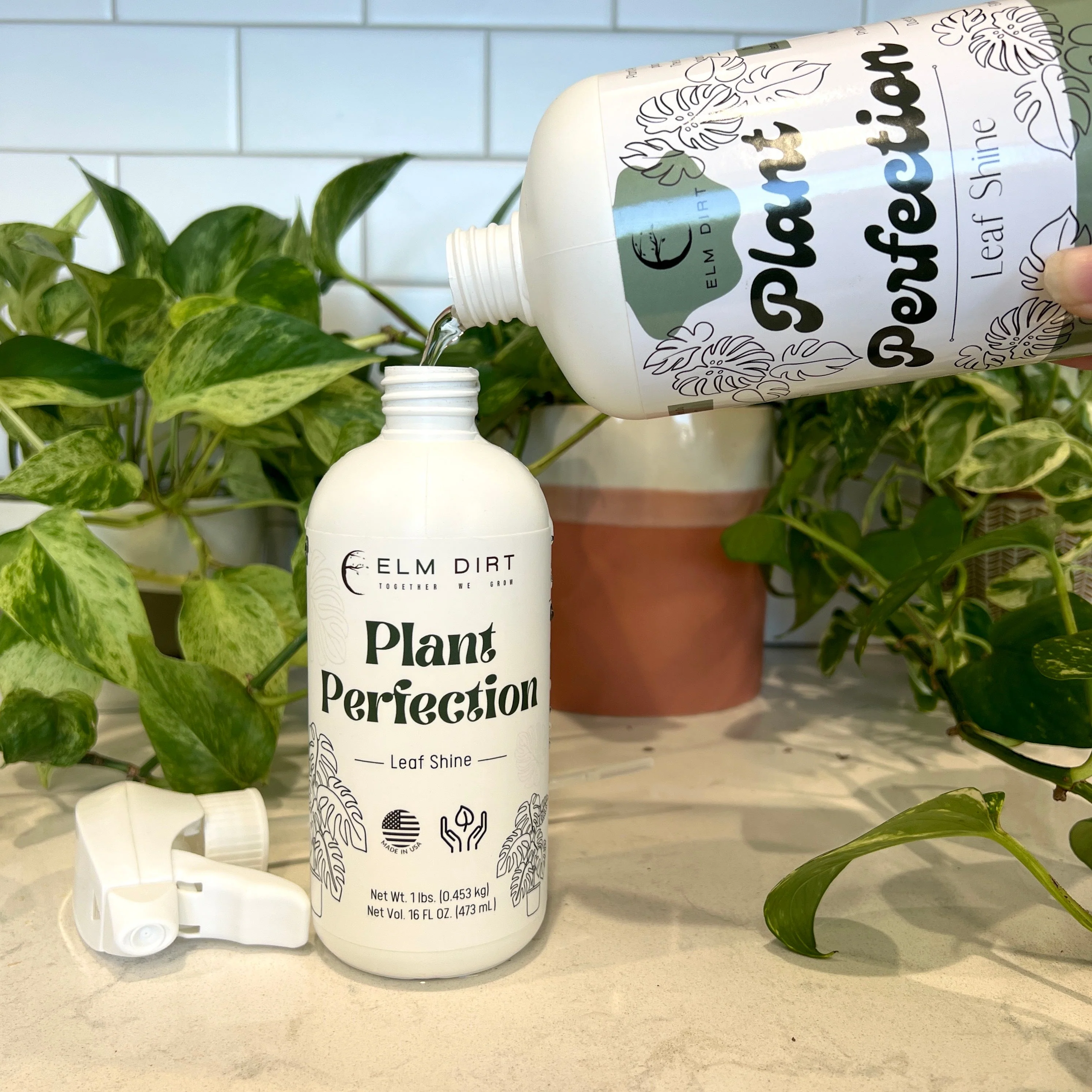 Plant Perfection by Elm Dirt - Image 4