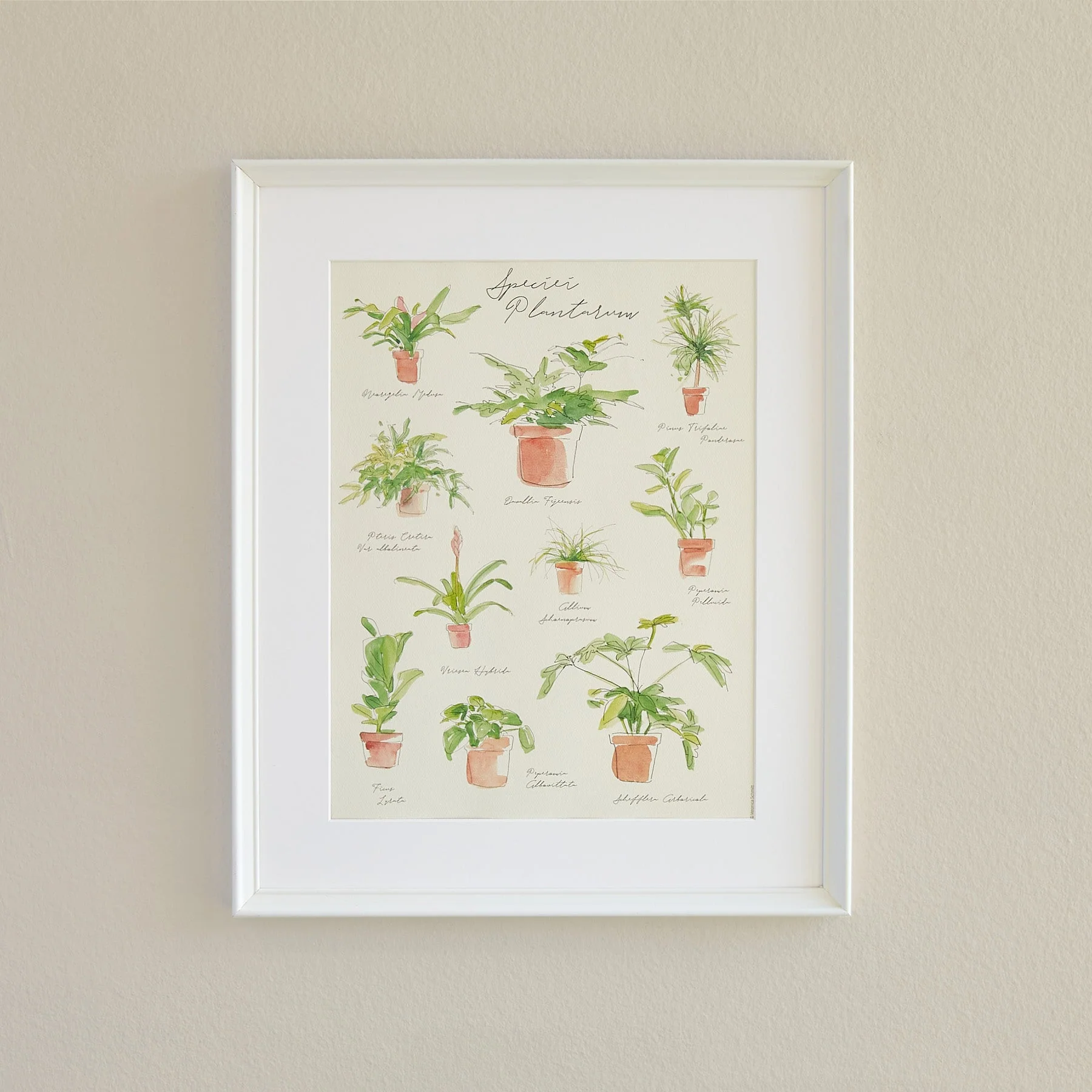 Plant Species Poster - Image 2