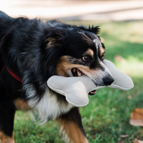 Plush Hemp Dog Bone Toy for Gentle Chewers | Soft & Squeaker Free - Image 4