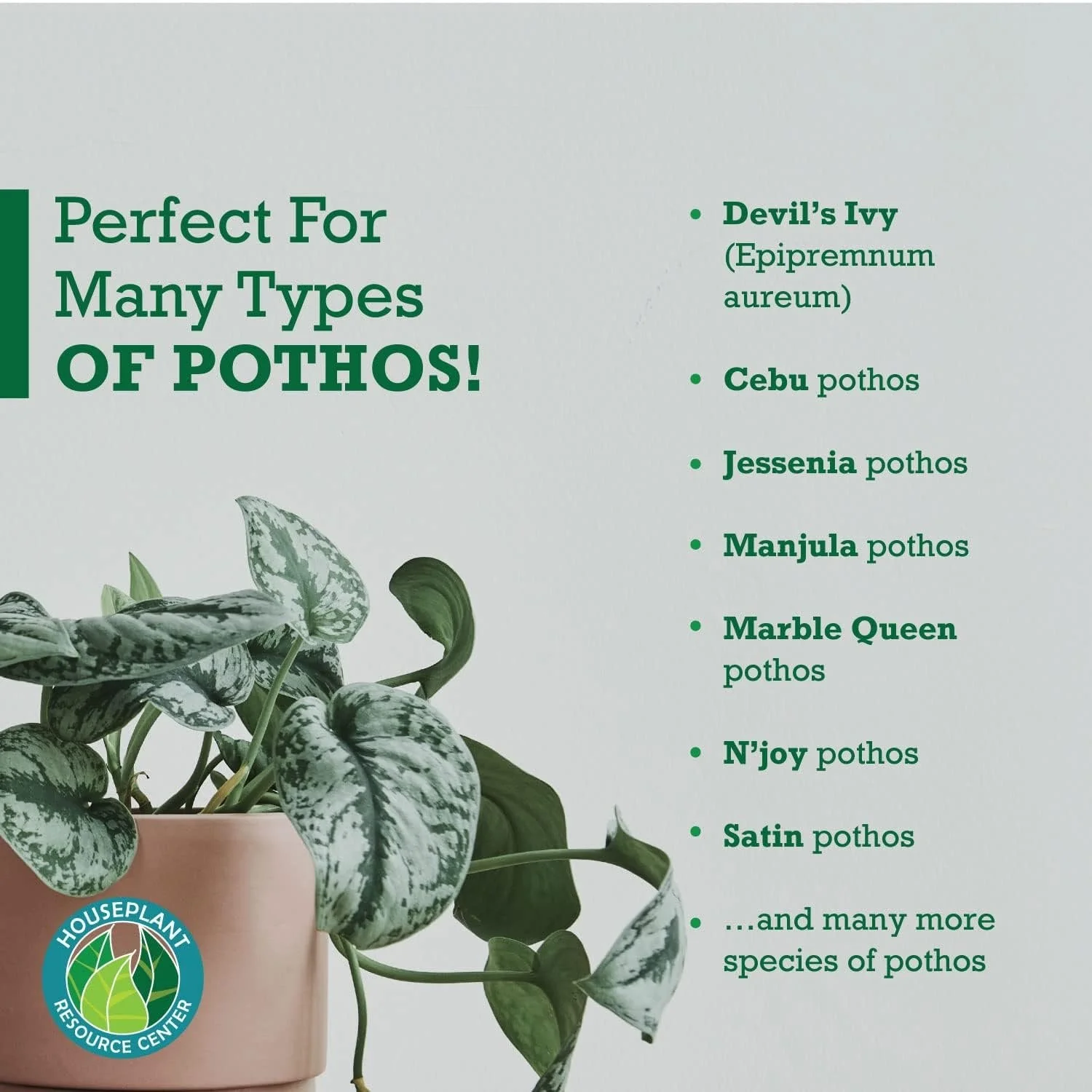 Pothos Fertilizer - Liquid Fertilizer for Indoor House Plants - Essential Plant Nutrients for Neon Pothos or Devil’s Ivy - Urea-Free - NPK Ratio of 3-3-3 for Healthy Roots, Stems, Leaves (8 Ounces) by Houseplant Resource Center - Image 5