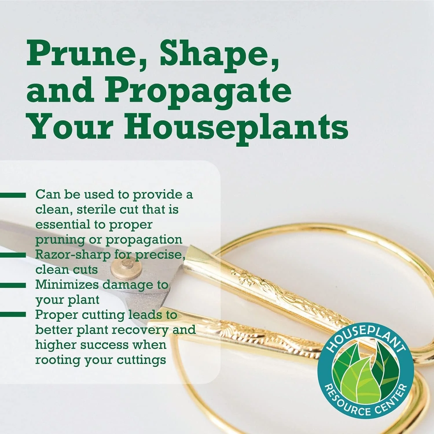 Premium Houseplant Scissors | 100% Stainless Steel, Ultra-Precise Garden Clippers for Propagation & Trimming | Rust-Resistant, Easy Clean Pruning Shears | Indoor & Outdoor | Comfortable & Ambidextrous by Houseplant Resource Center - Image 3