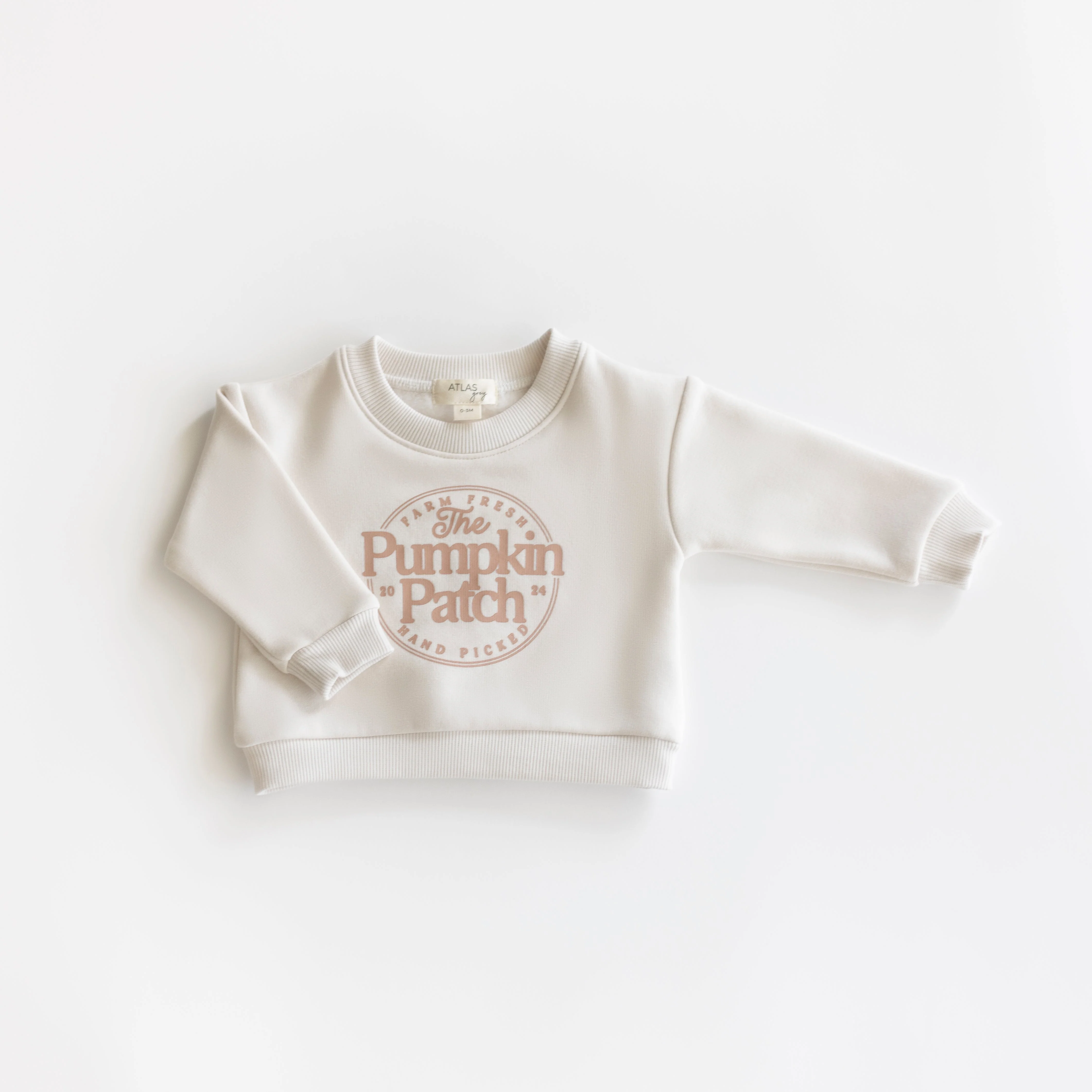 Pumpkin Patch Crewneck - Image 3