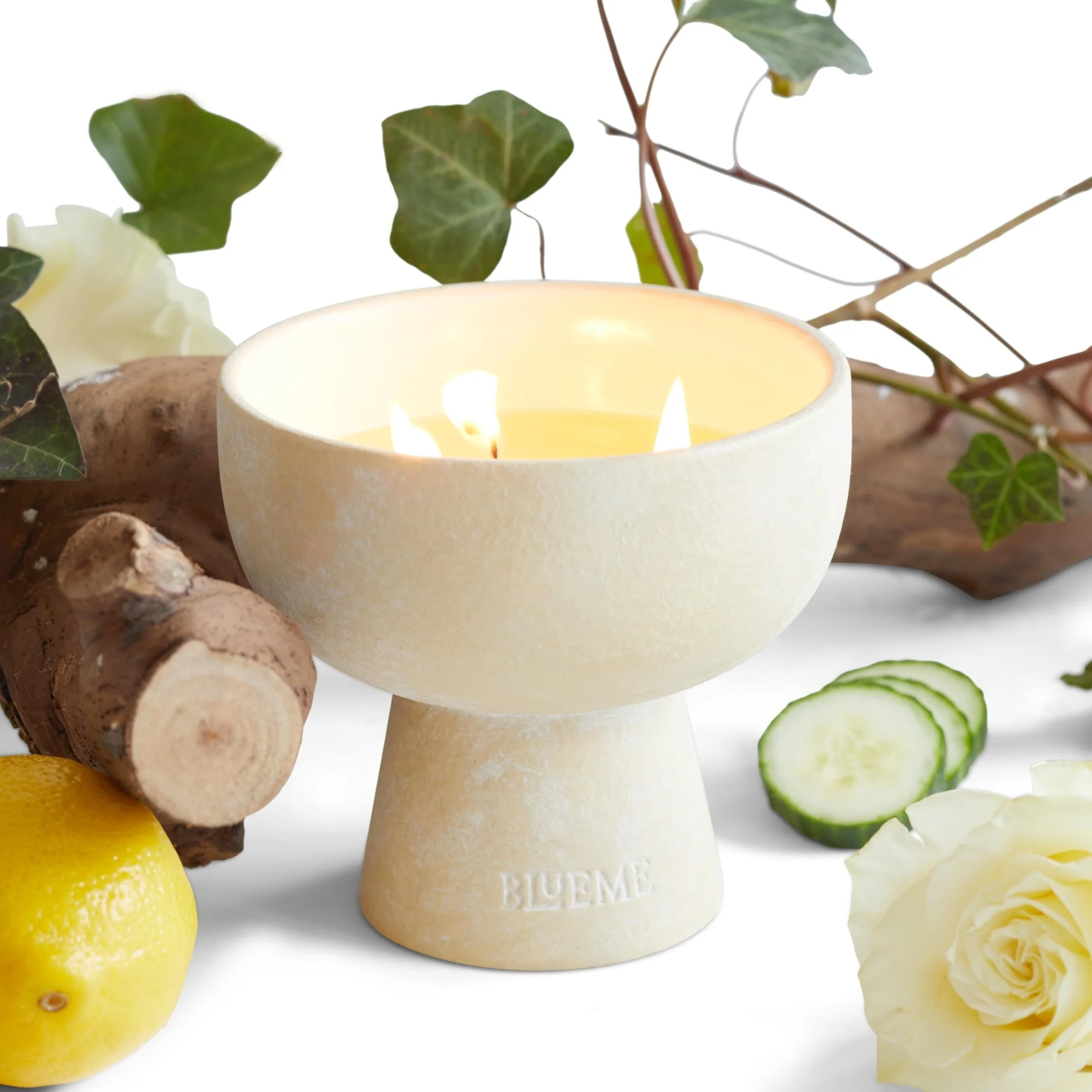 Renew - Ceramic Refillable Candle - Ivy & Rose - Image 9