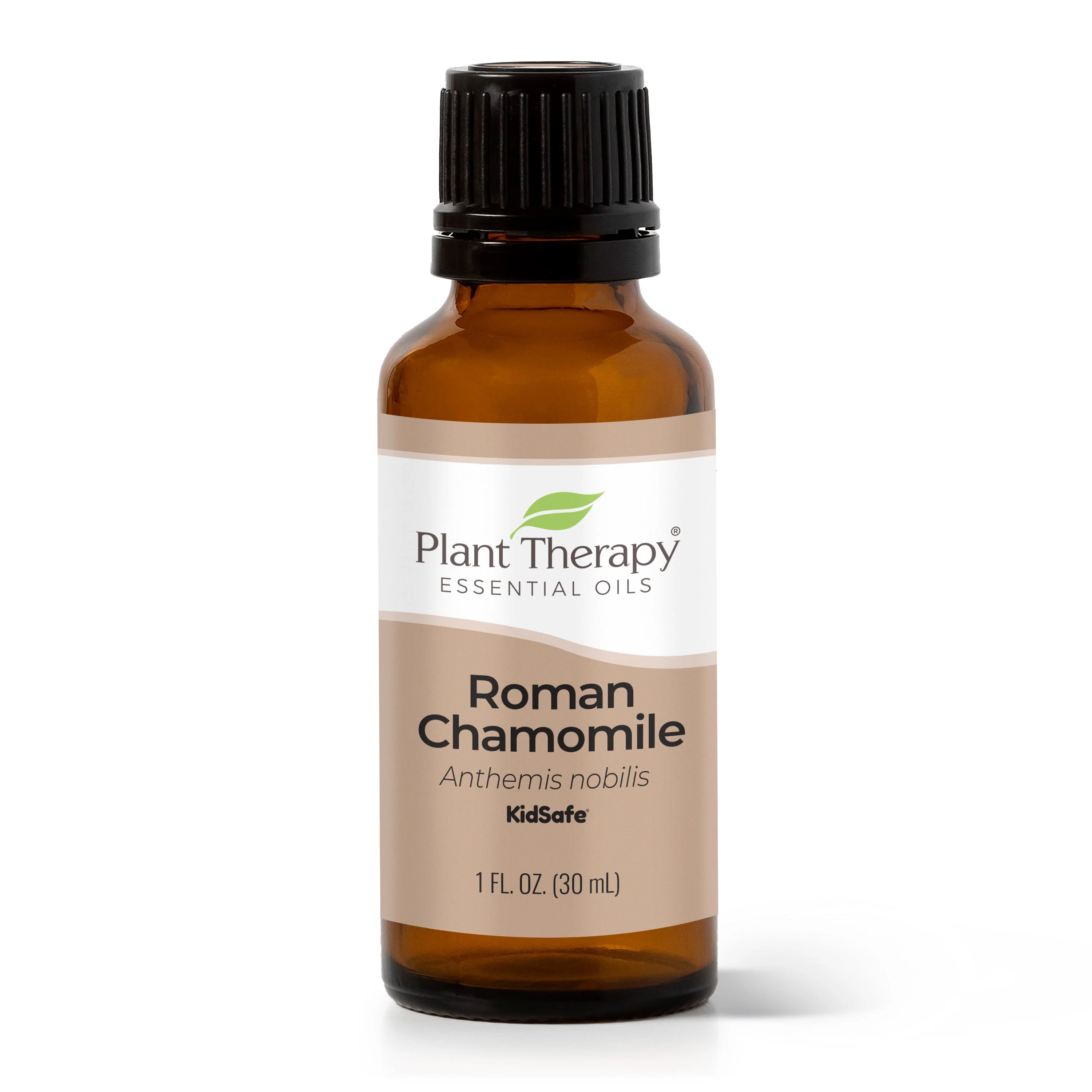 Roman Chamomile Essential Oil - Image 9