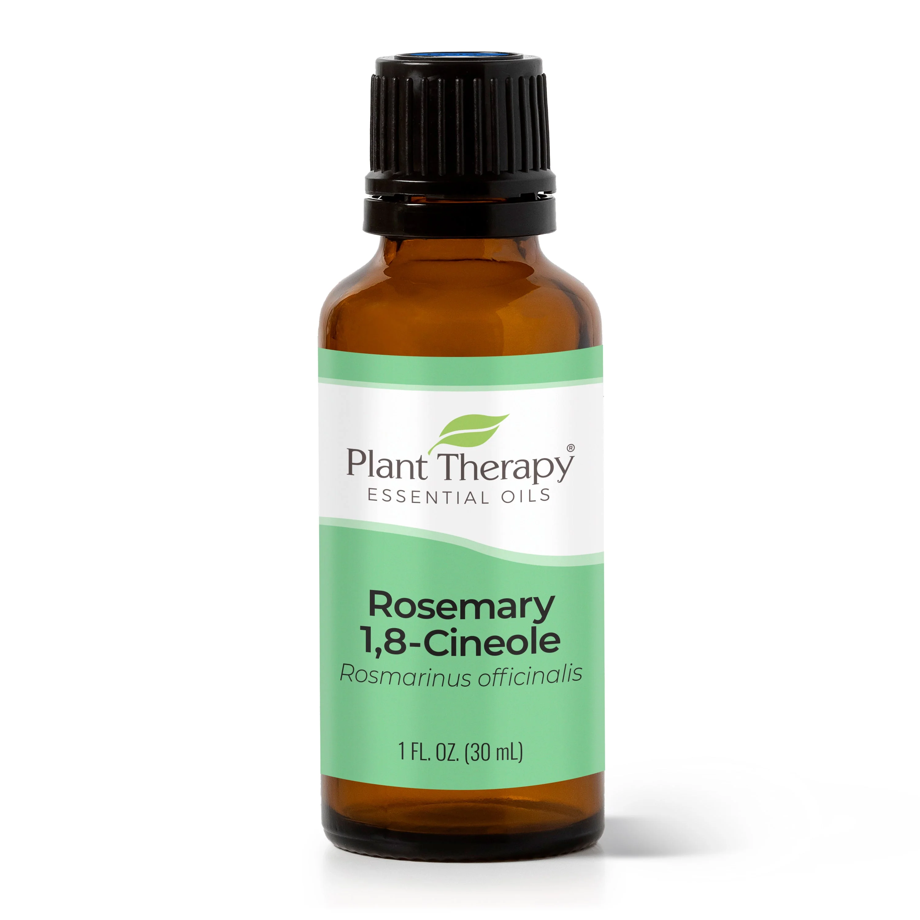 Rosemary 1,8-Cineole Essential Oil - Image 11