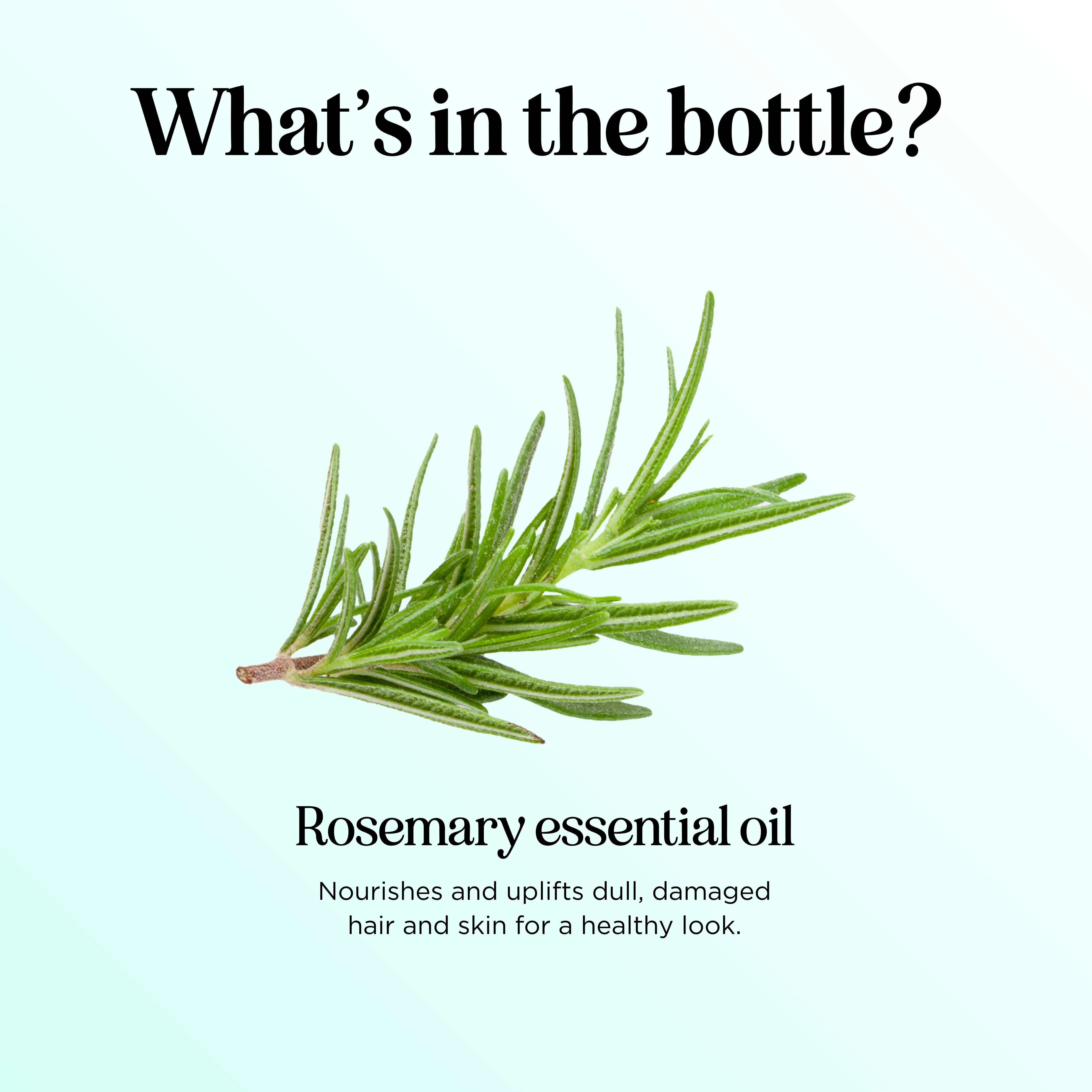 Rosemary Essential Oil - Image 32