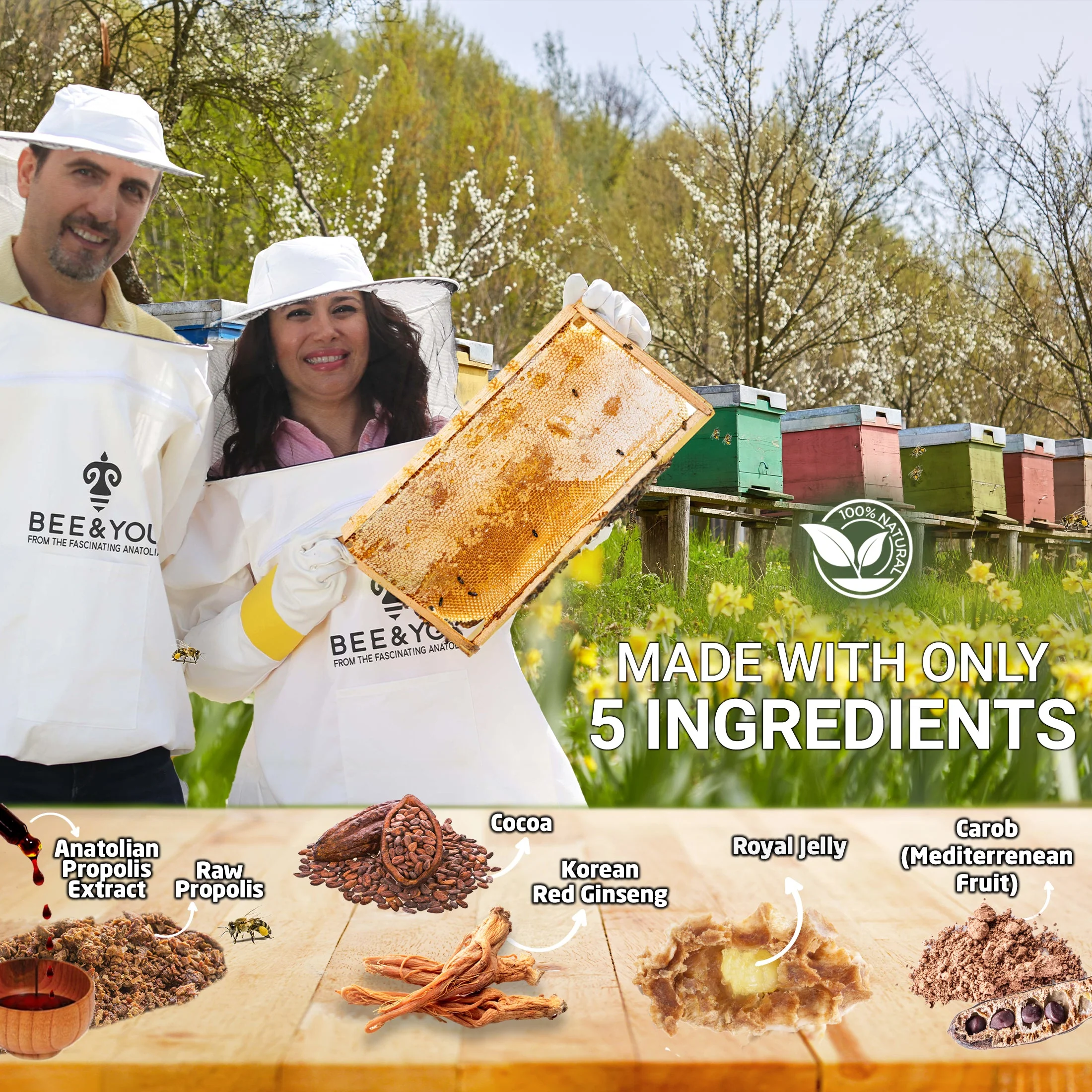 Royal Jelly+Ginseng+Propolis Tablets Ultra Potency - Image 11