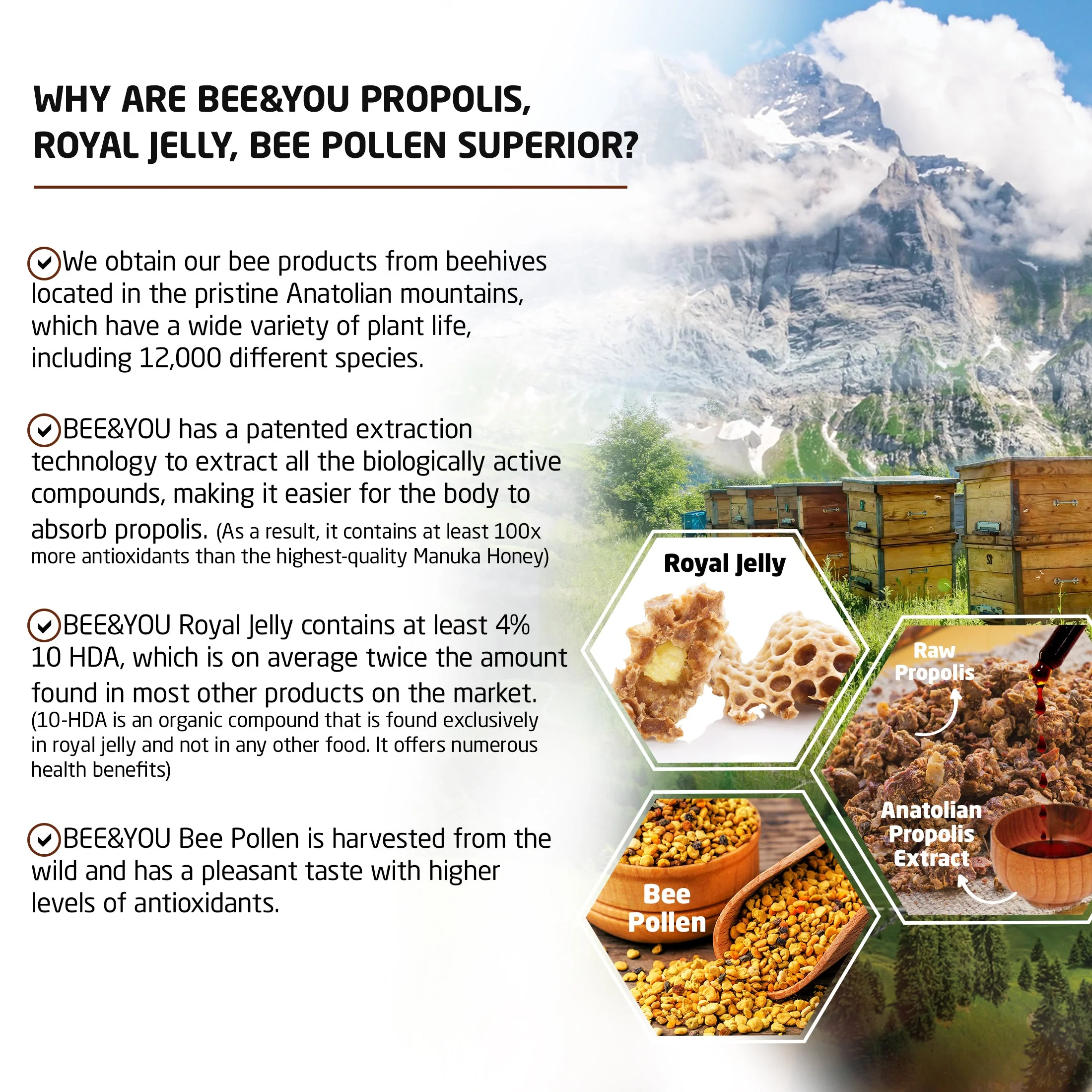 Royal Jelly+Ginseng+Propolis Tablets Ultra Potency - Image 15
