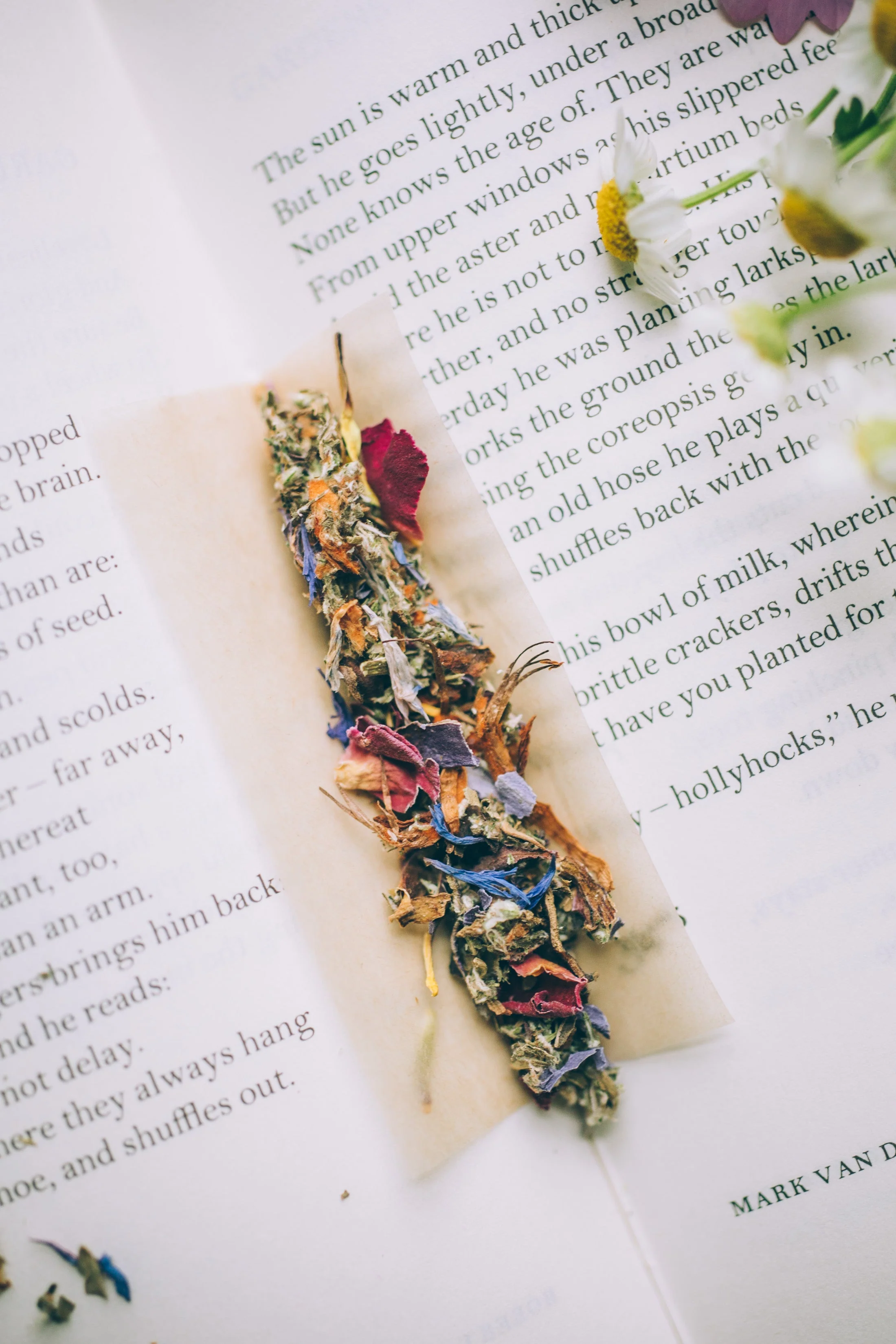SACRED HEMP Botanical Smoke | Organic + Wild - Image 6