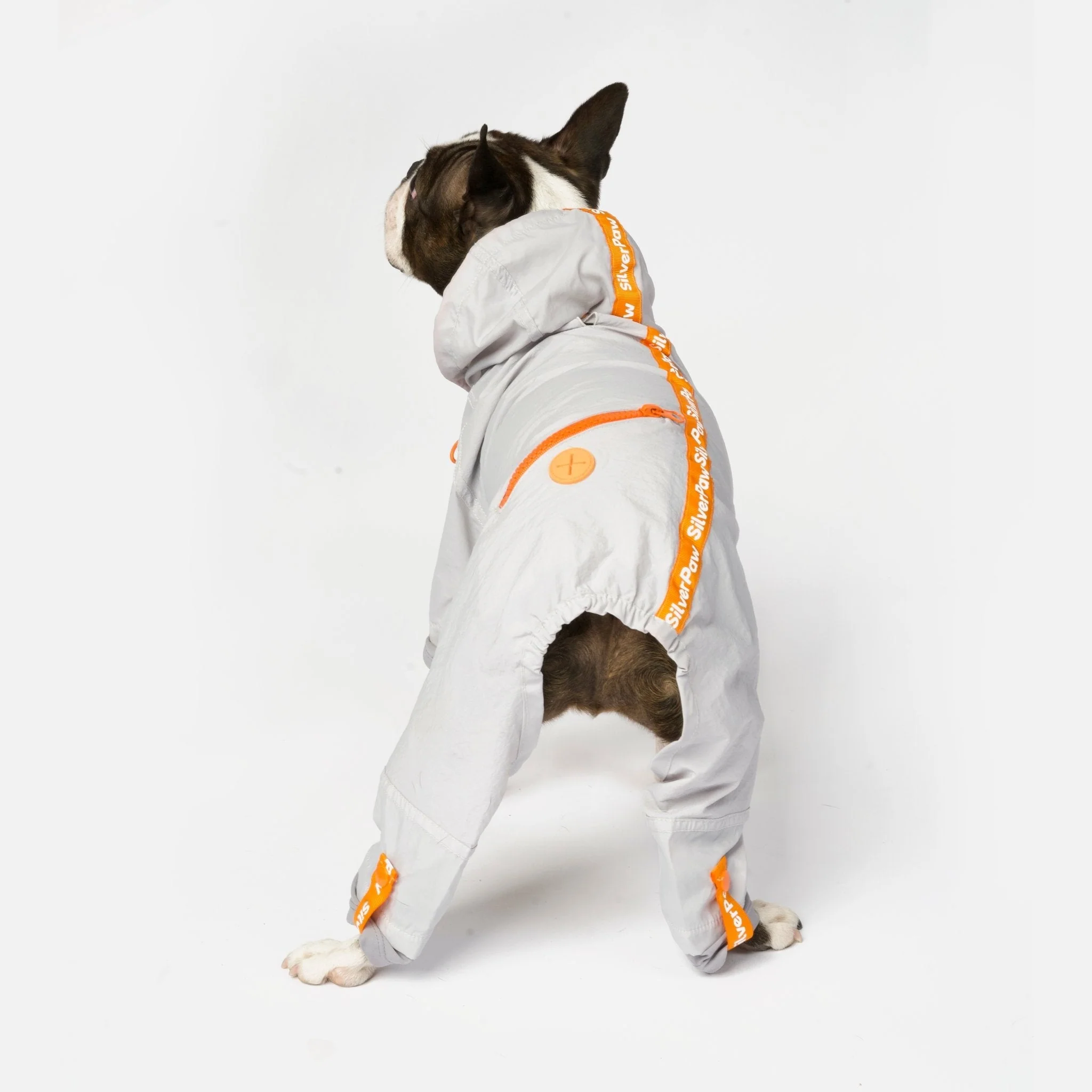 Sammy - Splash Suit - Image 5