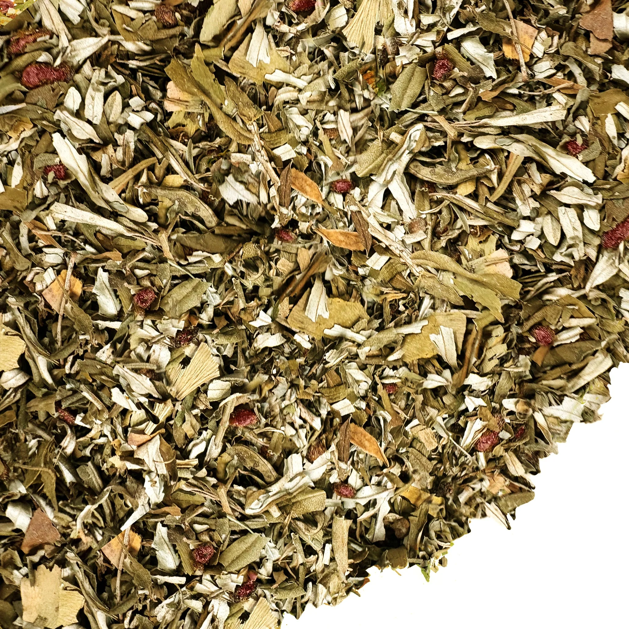 Siberian Green Sea Buckthorn Tea with Black Currant Leaves – Wild-Harvested & Caffeine-Free - Image 3