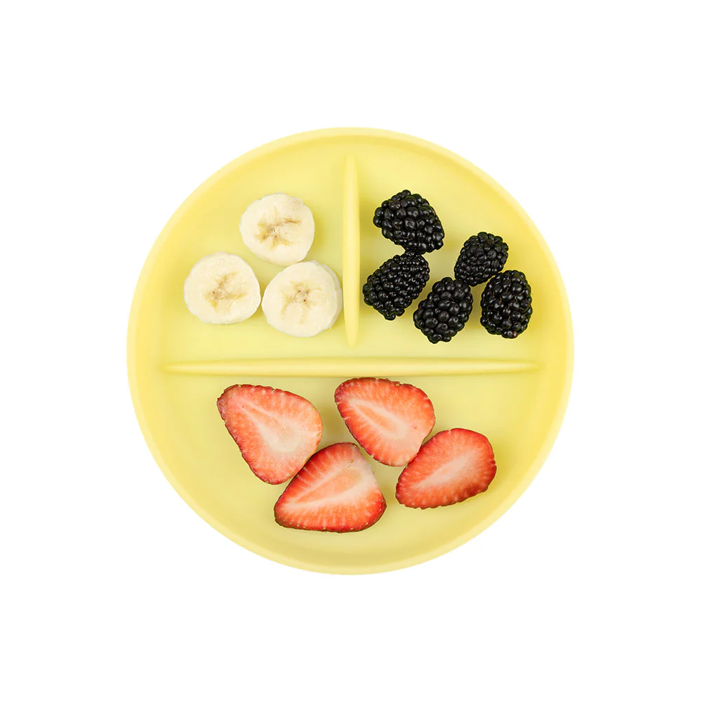 Silicone Divided Suction Plate - Image 6