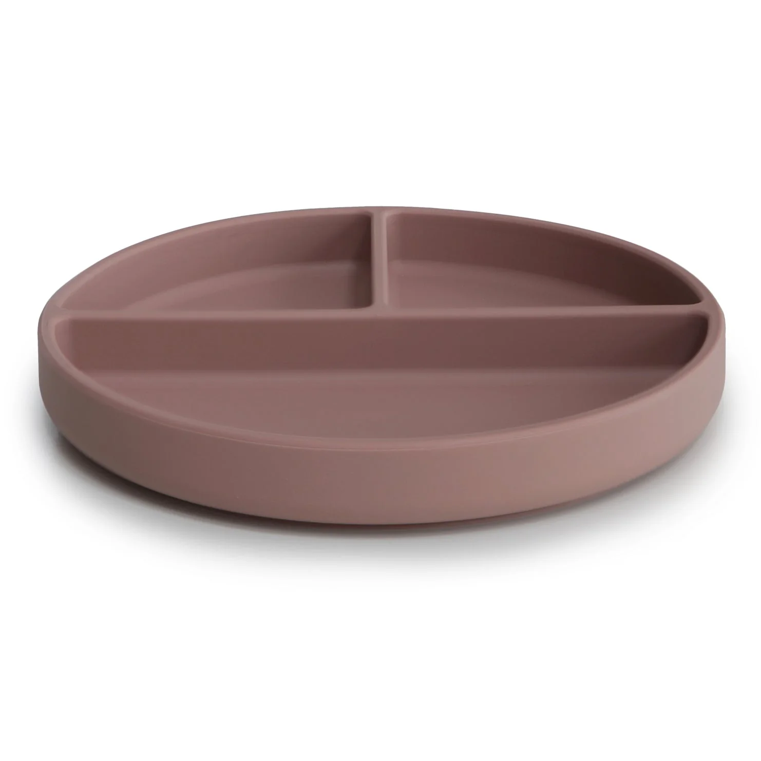 Silicone Suction Plate - Image 29