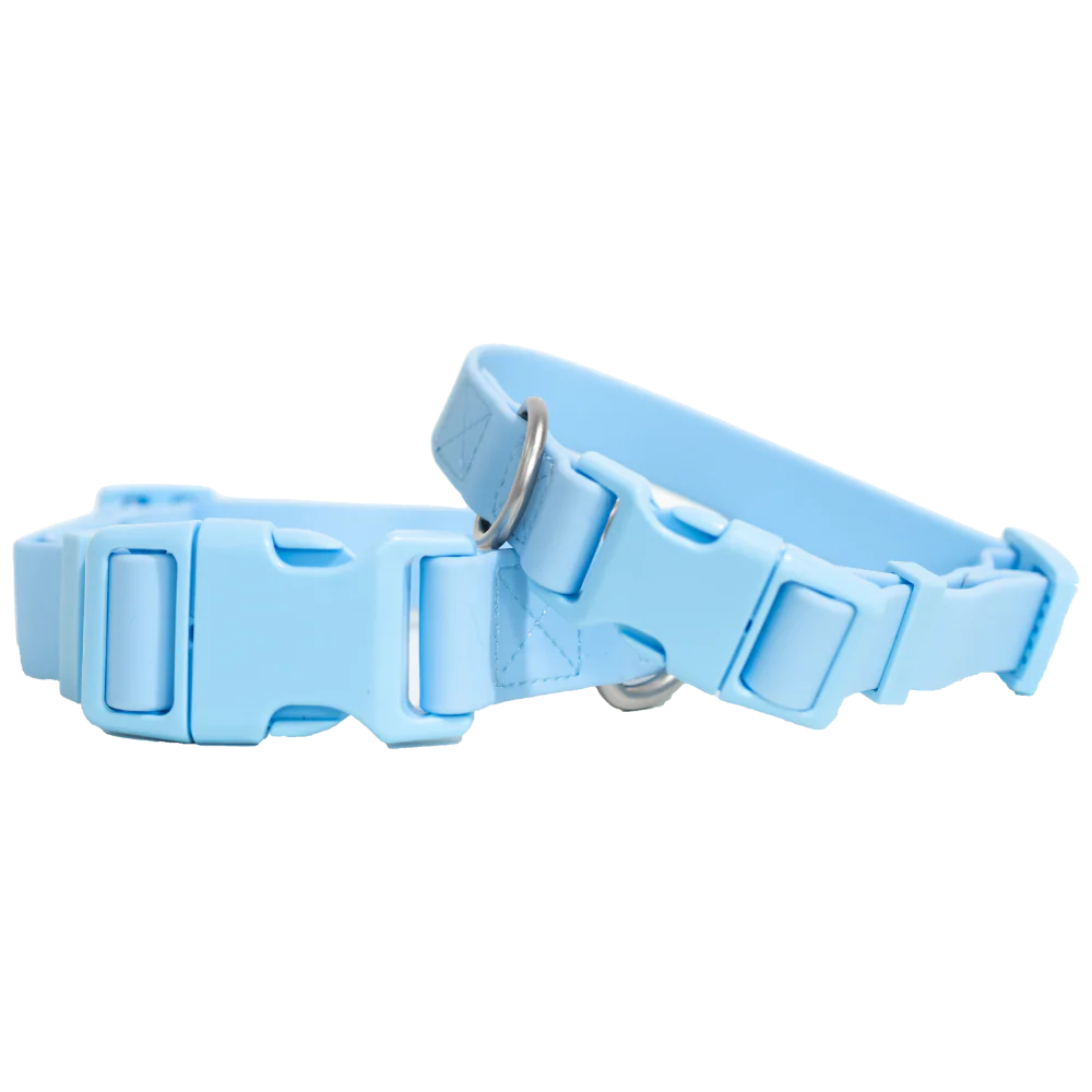Small Dog Collar - Image 7
