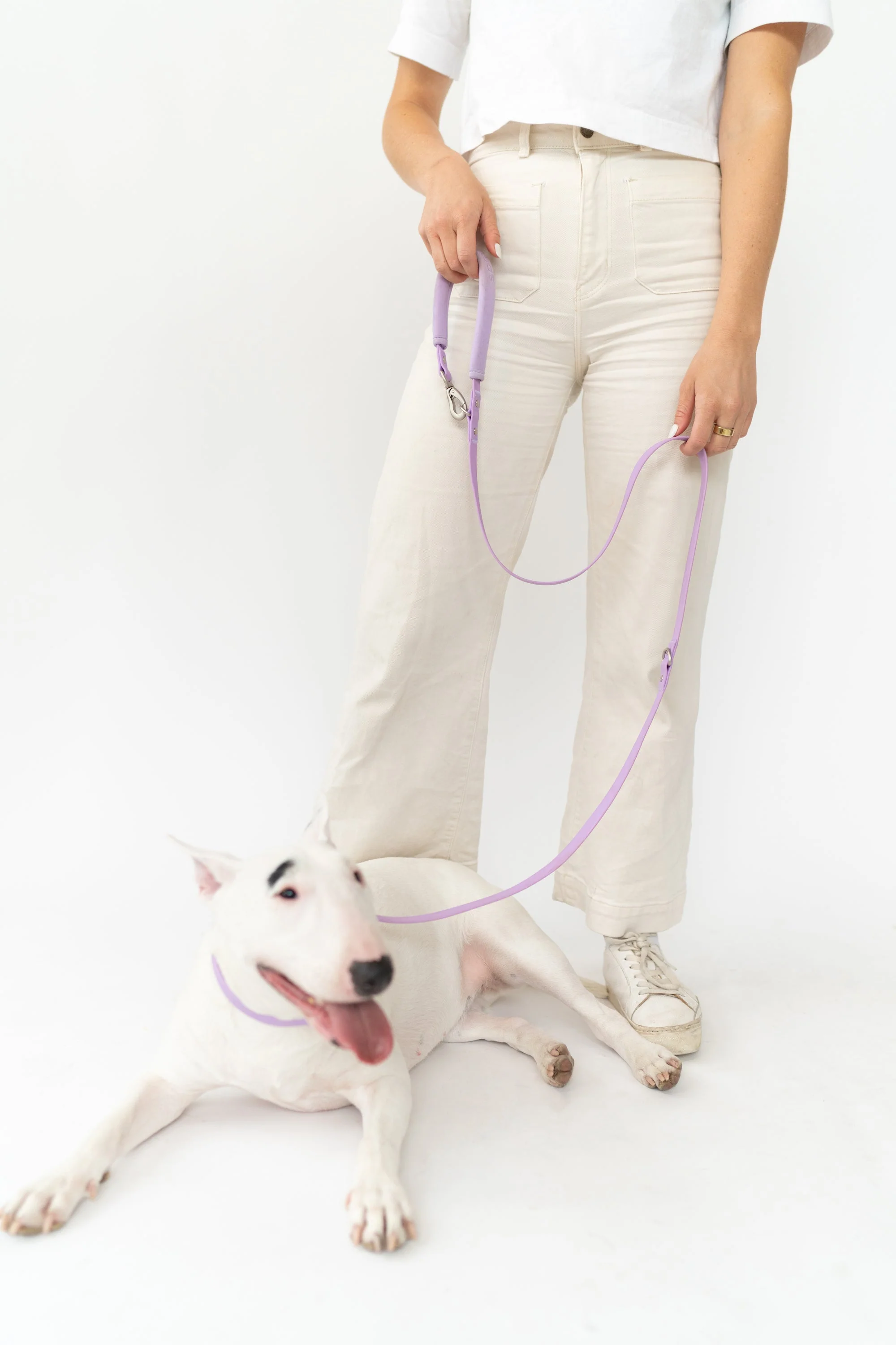 Small Dog Leash - Image 10
